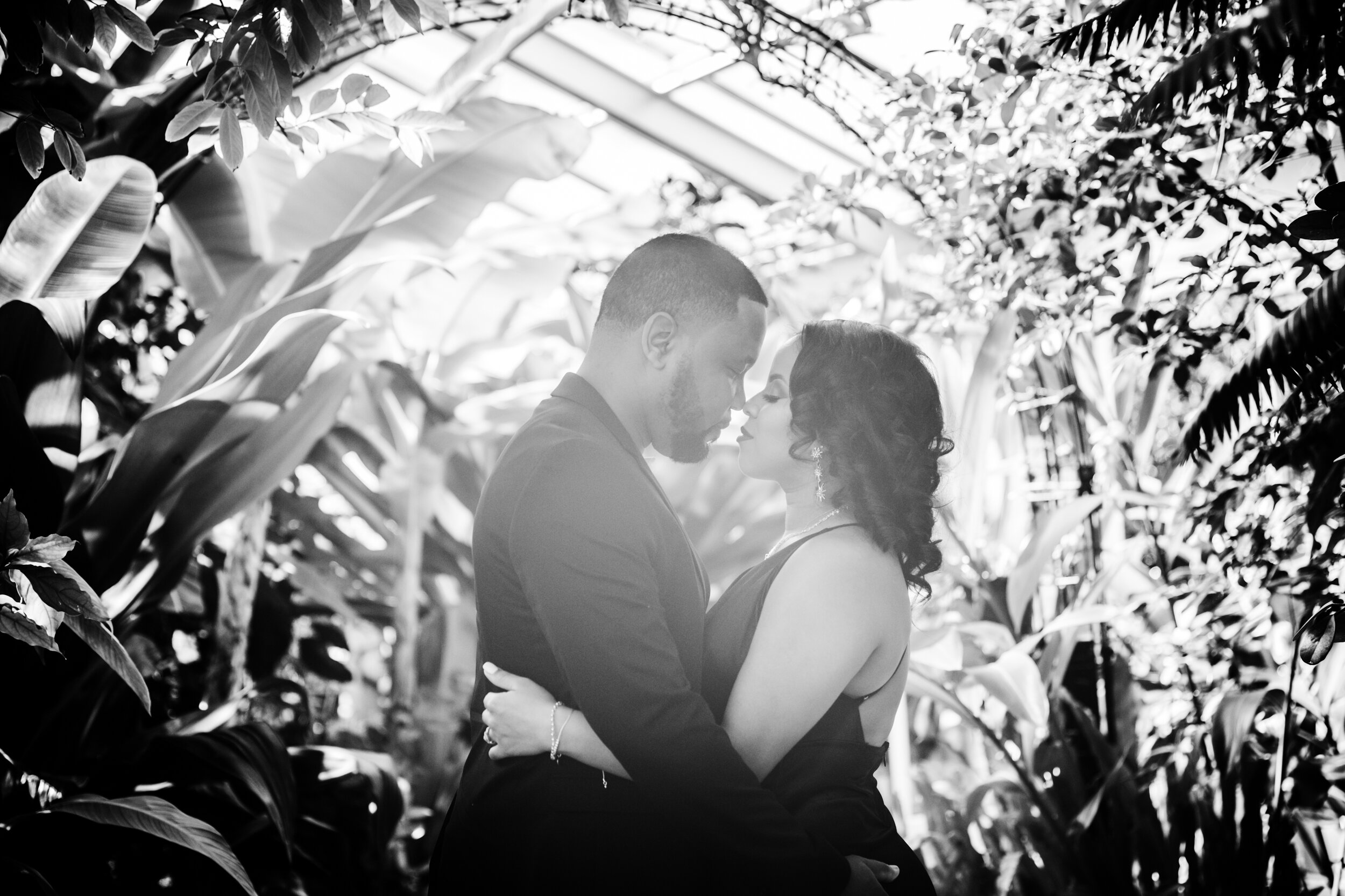 Best Wedding Photographers in Baltimore Free Engagement Session Maryland Megapixels Media Photography Rawlings Conservatory Engagement Photos Black Dress Black Couple in Love-12.jpg