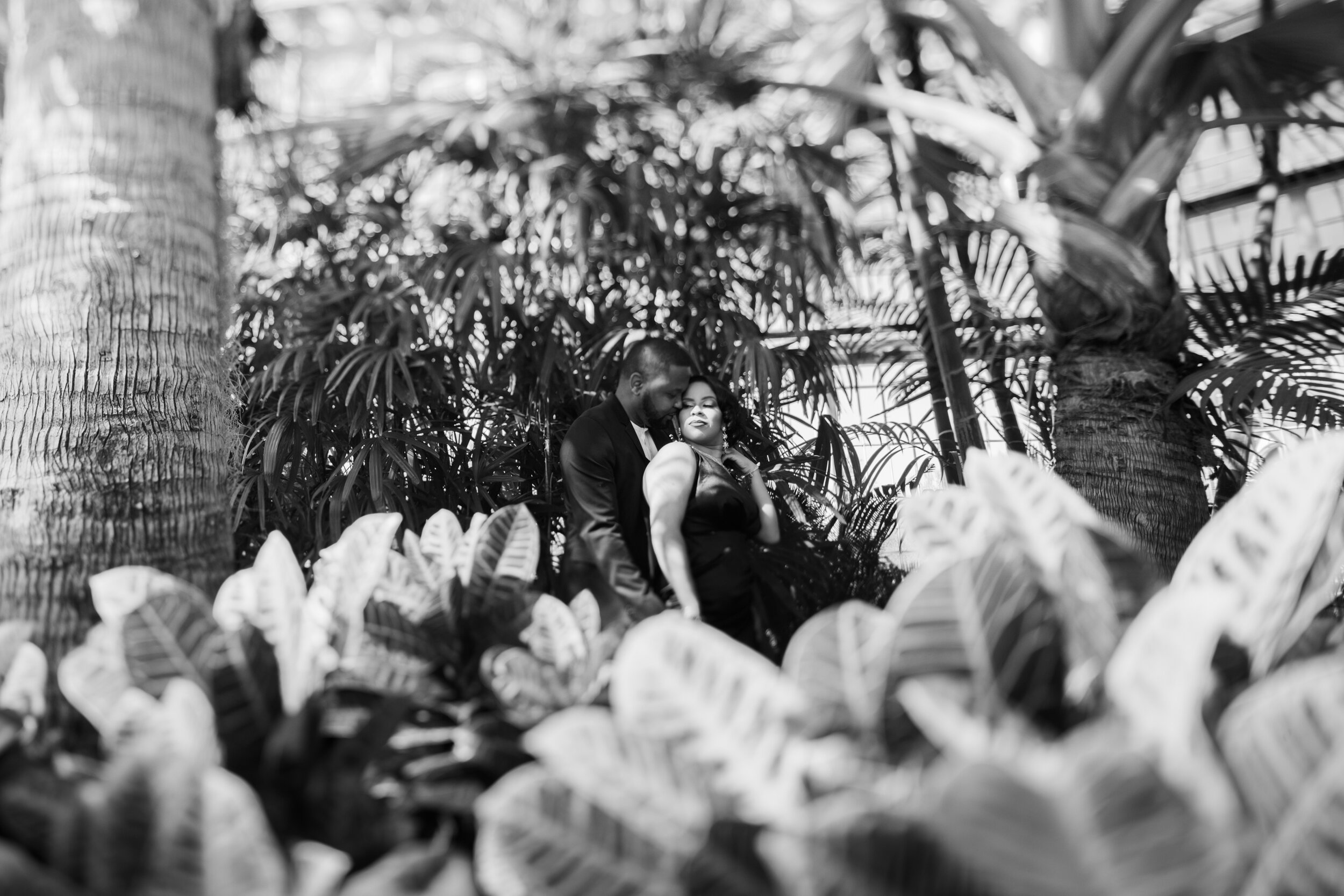 Best Wedding Photographers in Baltimore Free Engagement Session Maryland Megapixels Media Photography Rawlings Conservatory Engagement Photos Black Dress Black Couple in Love-31.jpg