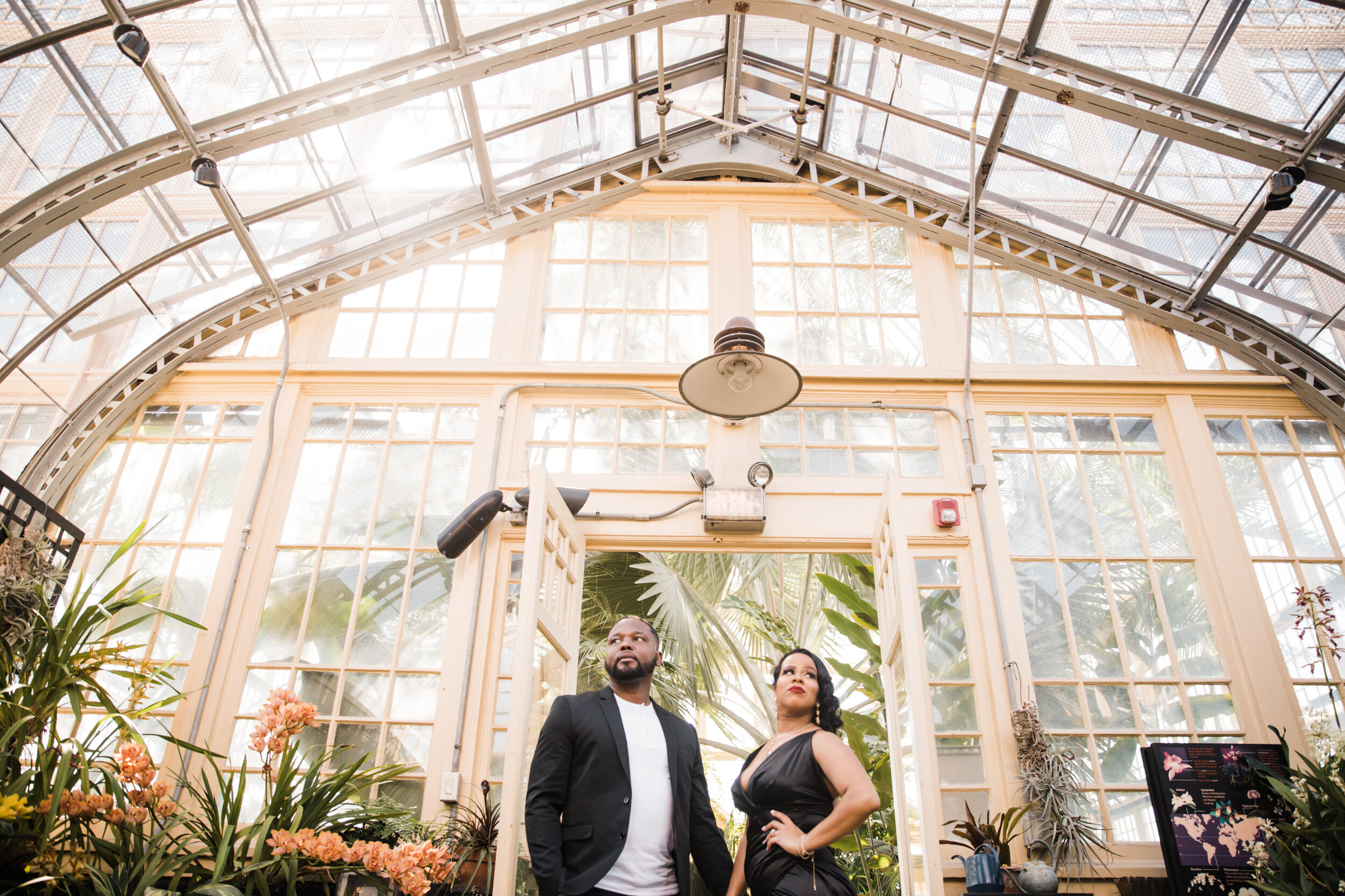 Best Wedding Photographers in Baltimore Free Engagement Session Maryland Megapixels Media Photography Rawlings Conservatory Engagement Photos Black Dress Black Couple in Love-41.jpg
