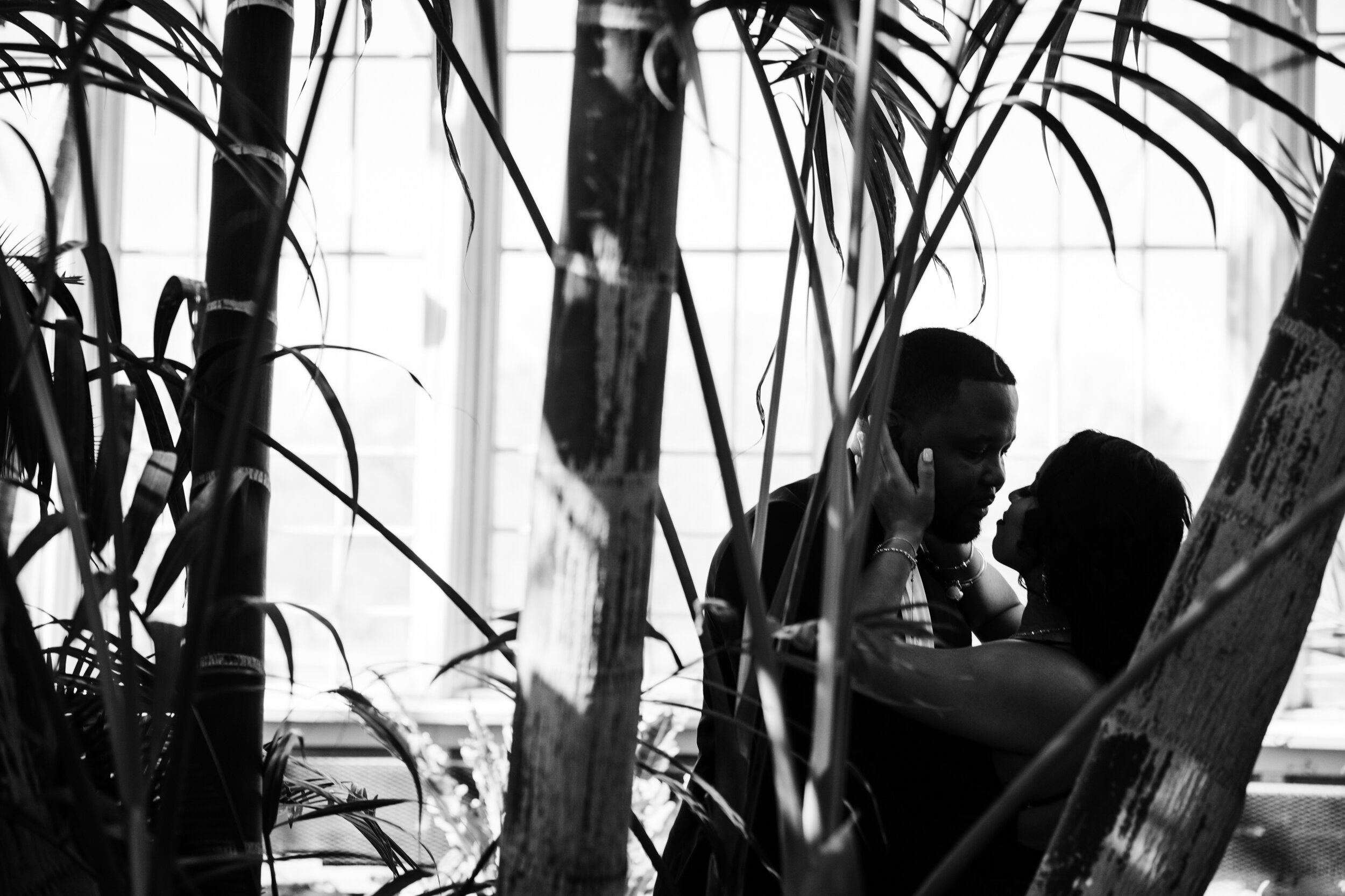 Best Wedding Photographers in Baltimore Free Engagement Session Maryland Megapixels Media Photography Rawlings Conservatory Engagement Photos Black Dress Black Couple in Love-46.jpg