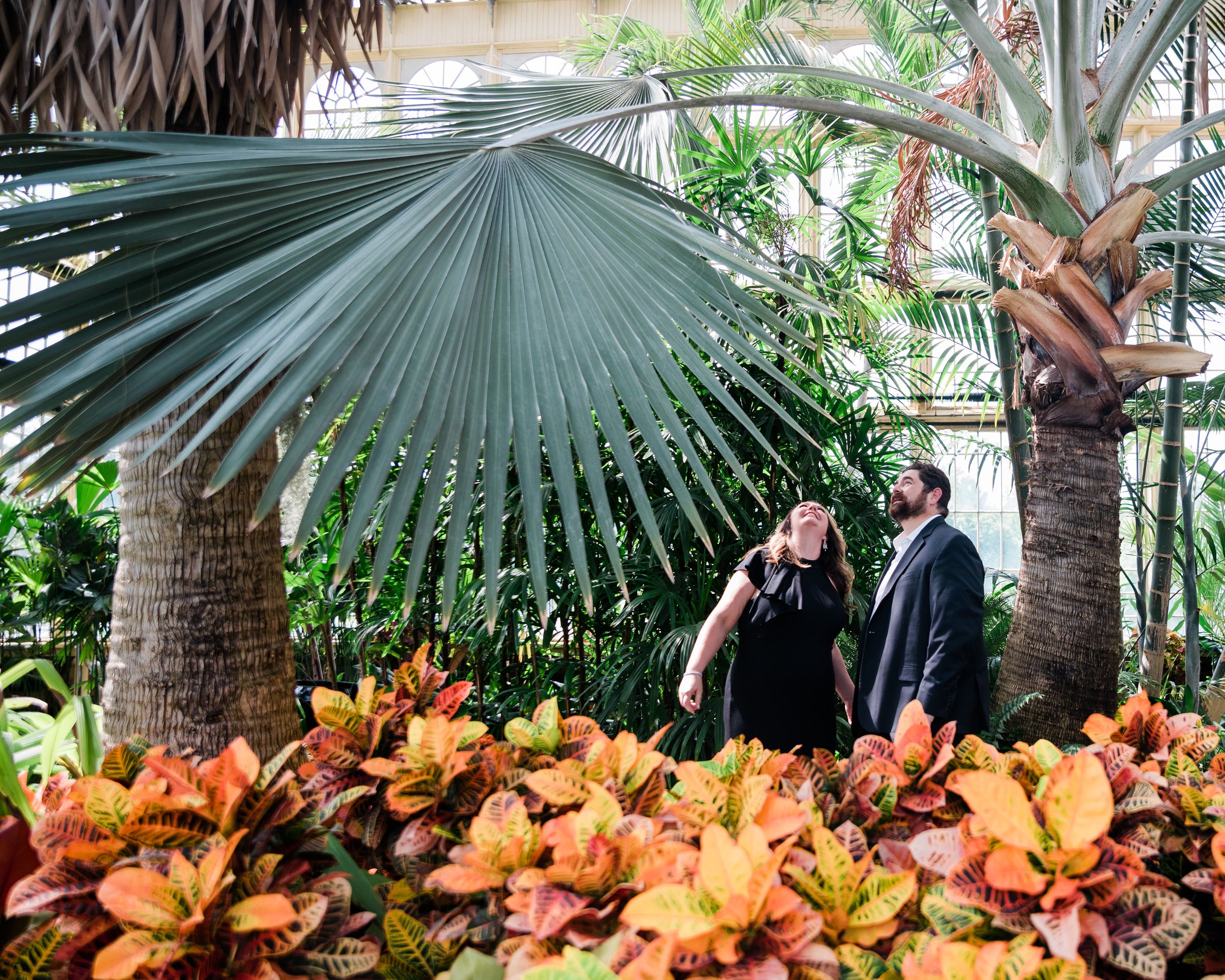 Romantic Engagement Photography at Rawlings Conservatory Megapixels Media-39.jpg