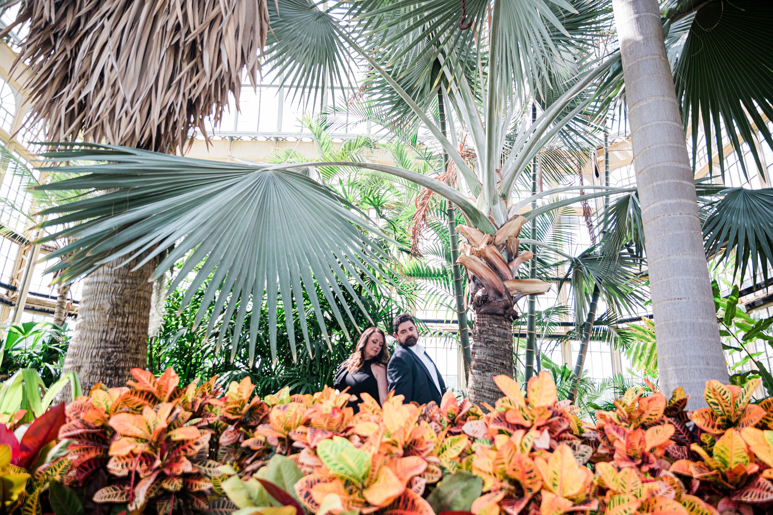 Romantic Engagement Photography at Rawlings Conservatory Megapixels Media-42.jpg