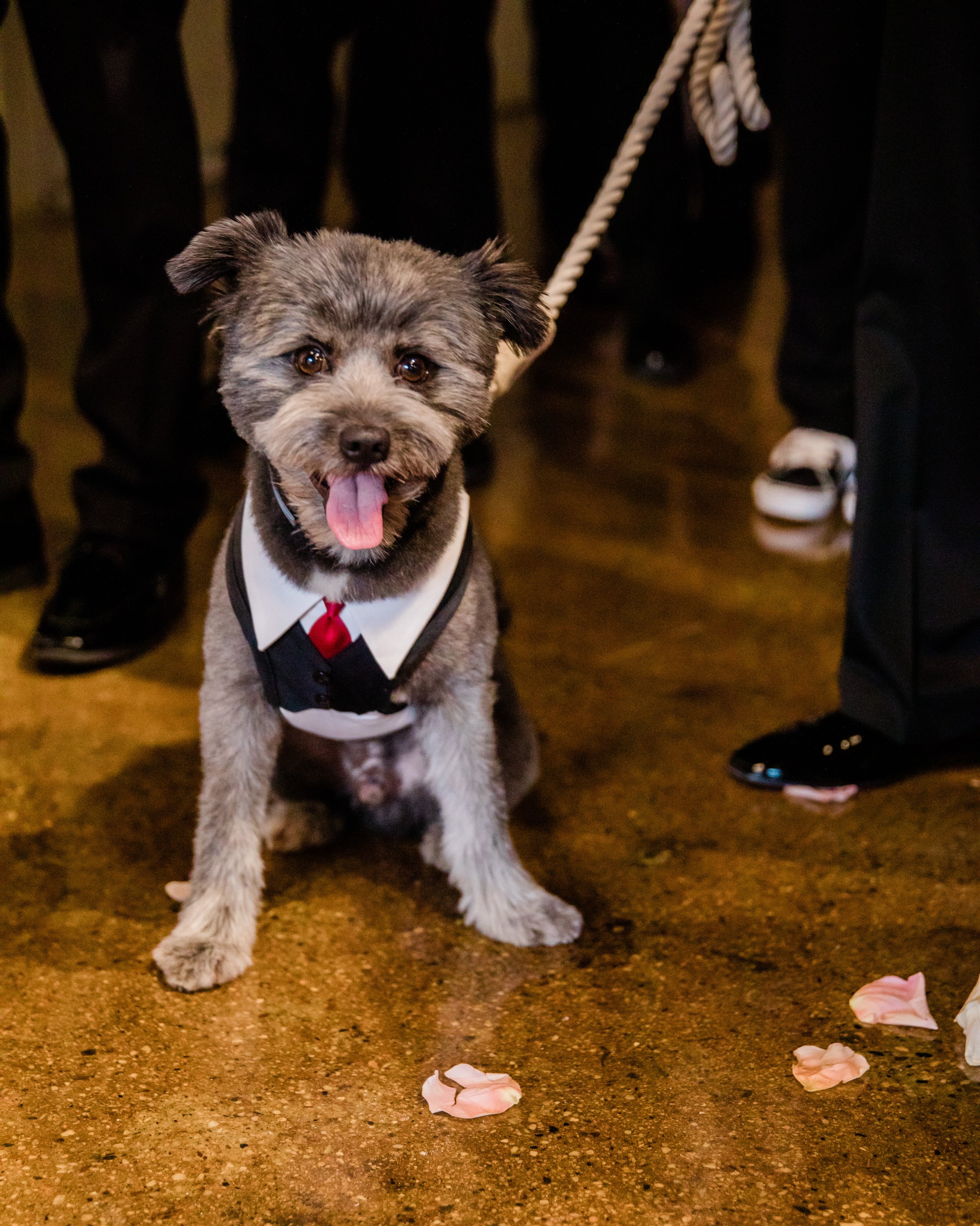 Best Multicultural Wedding at Main Street Ballroom Black and Hispanic Wedding Photographers in Maryland Megapixels Media-76.jpg