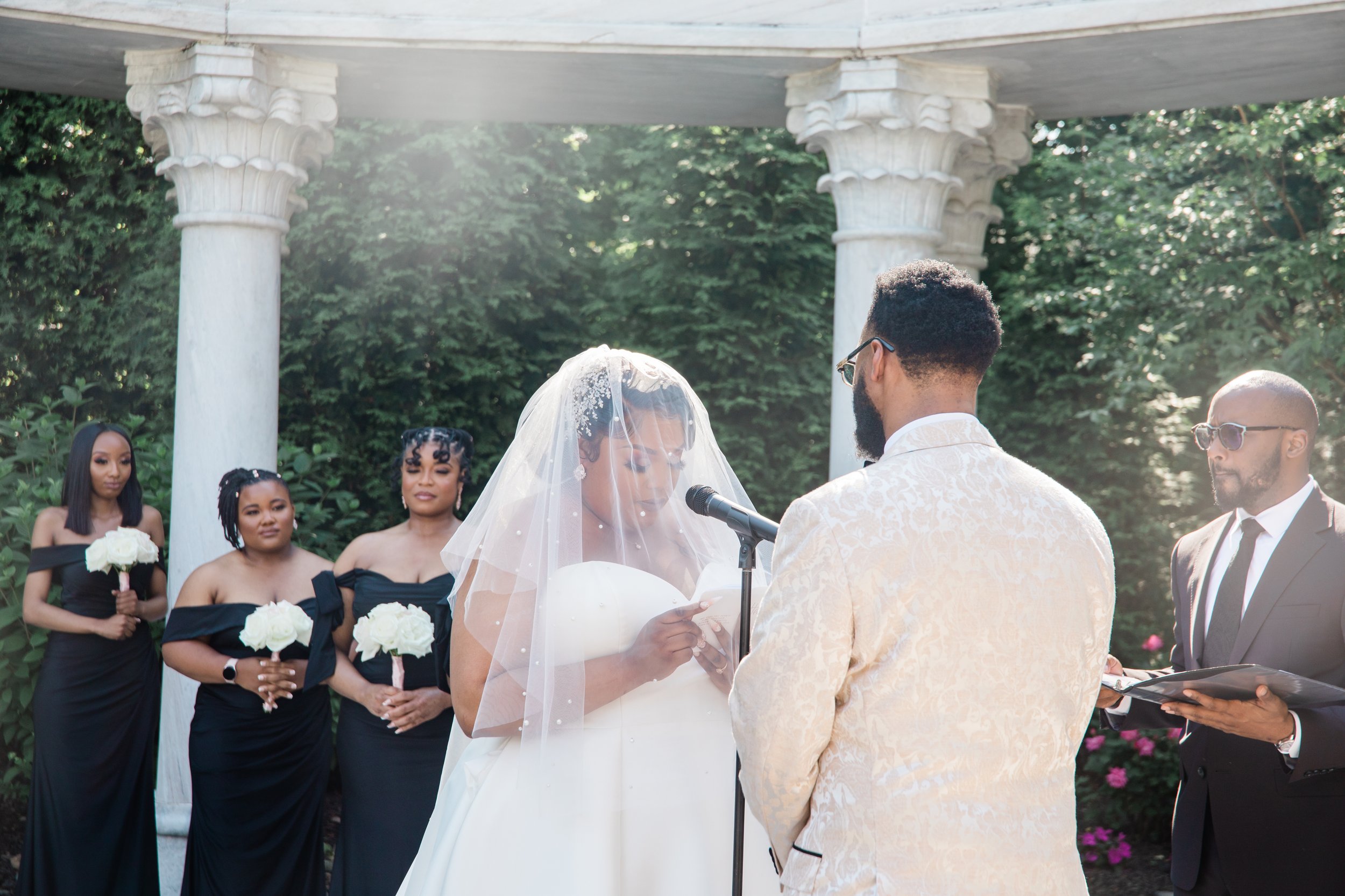 Beyonce Summer Renaissance Inspired Wedding at The Waterfall in Delaware Megapixels Media Photography Black Destination Wedding Photographers-38.jpg
