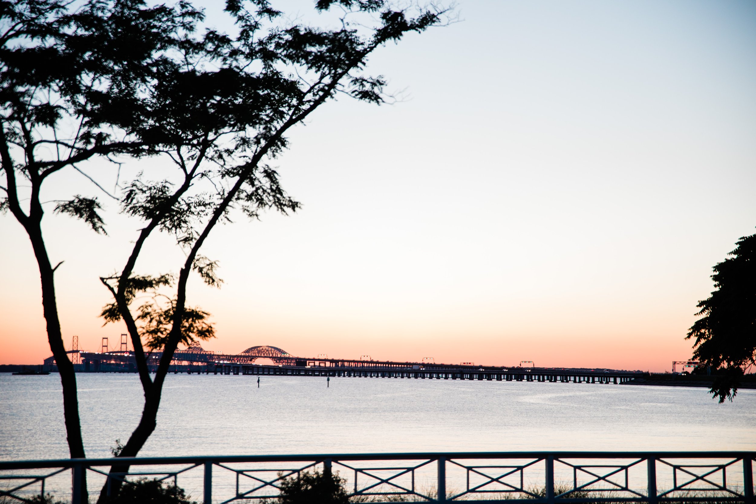 Sunny Orange Chesapeake Bay Beach Club Wedding Maryland Megapixels Media Photography-139.jpg