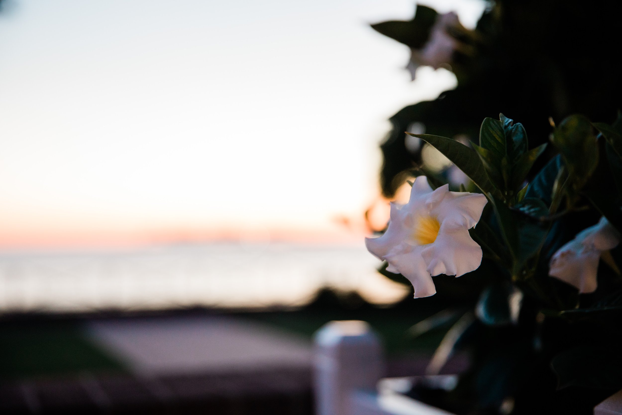 Sunny Orange Chesapeake Bay Beach Club Wedding Maryland Megapixels Media Photography-143.jpg