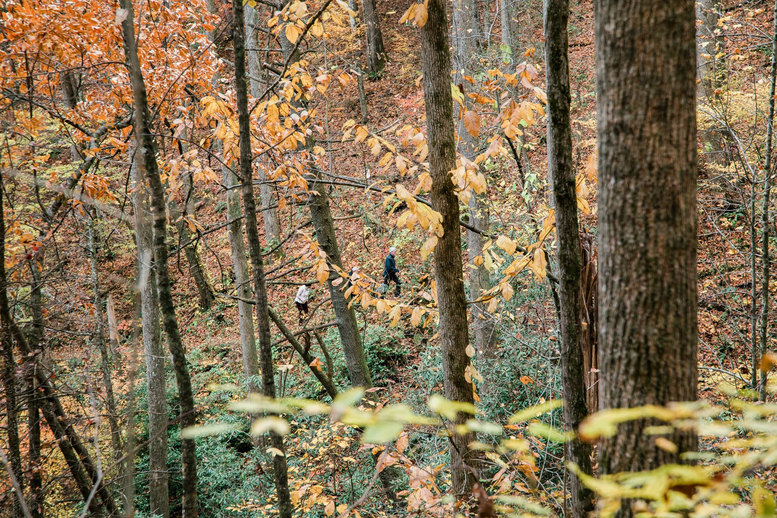 Destination Wedding in North Georgia Mountains Megapixels Media Photography Fall Family Session-1.jpg