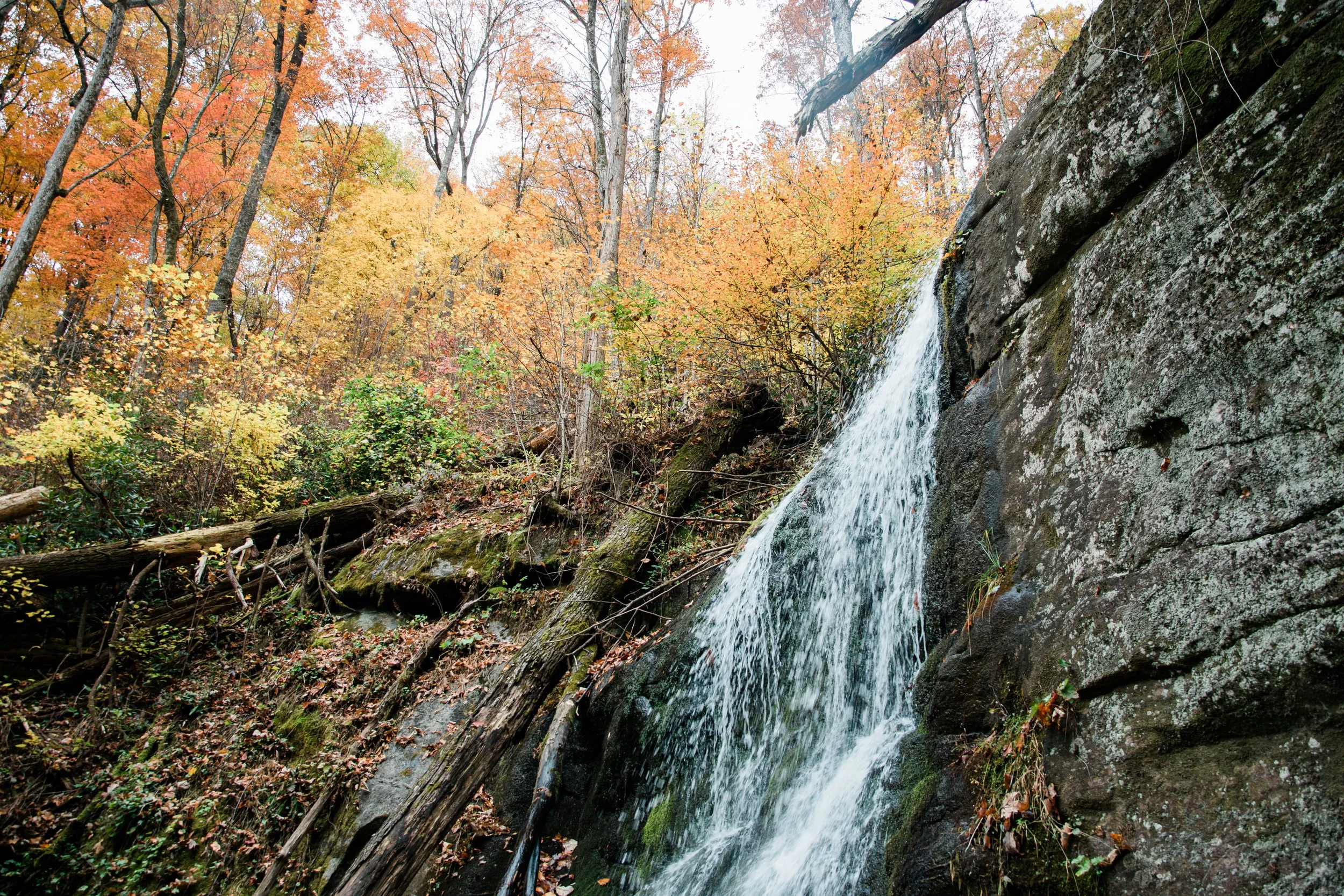 Destination Wedding in North Georgia Mountains Megapixels Media Photography Fall Family Session-11.jpg