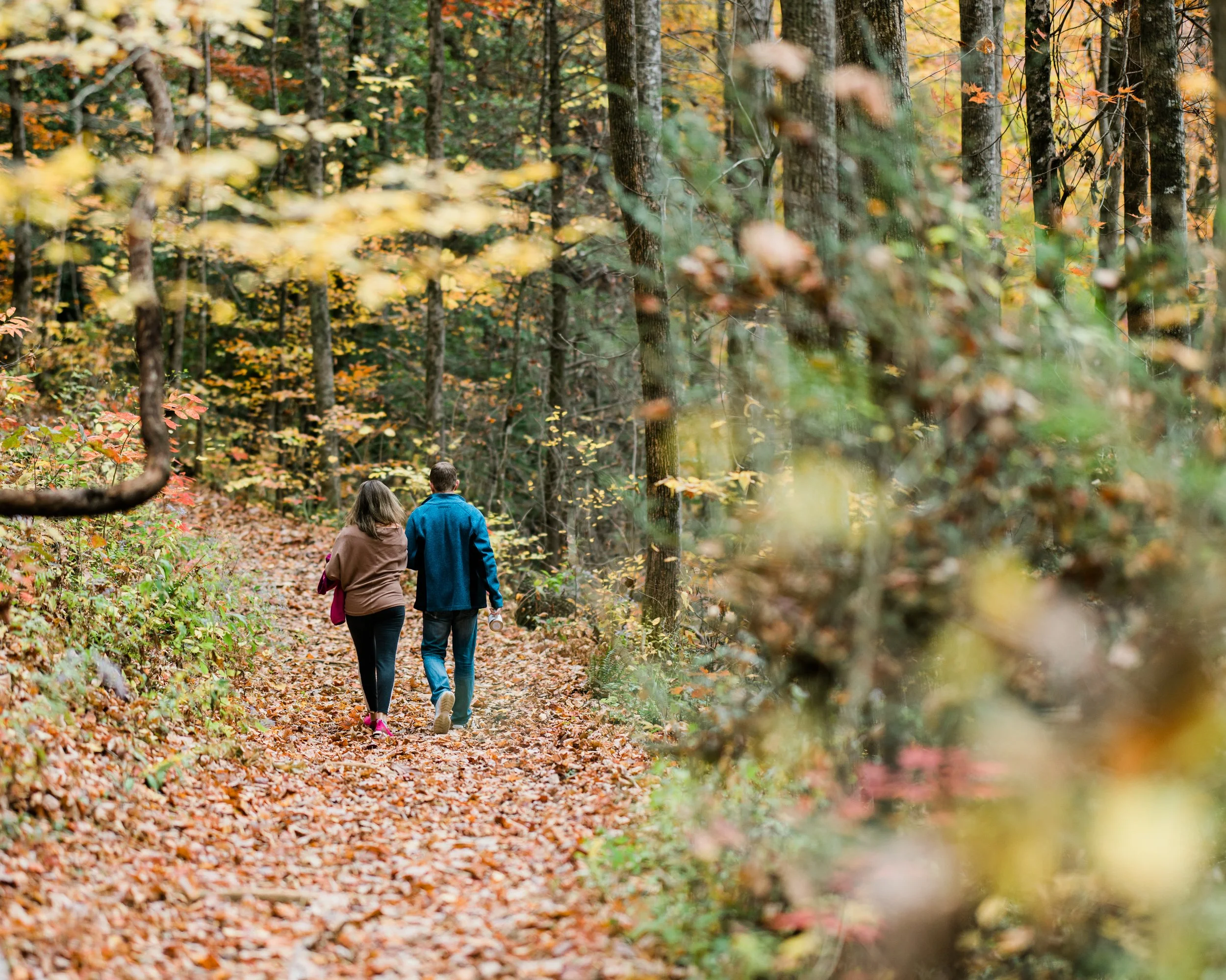 Destination Wedding in North Georgia Mountains Megapixels Media Photography Fall Family Session-14.jpg
