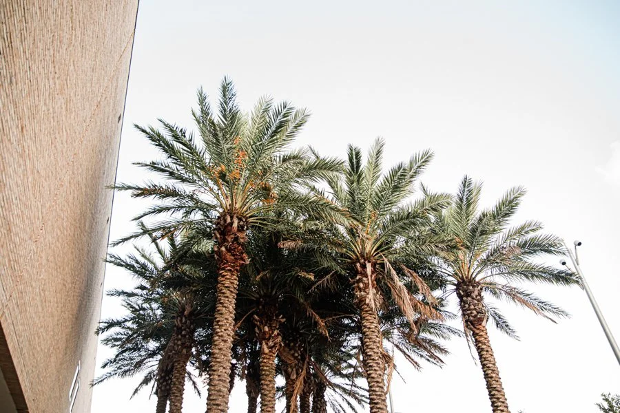 IAAM Charleston SC AAAM Reception Megapixels Media Photography-17.jpg