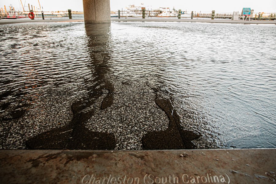 IAAM Charleston SC AAAM Reception Megapixels Media Photography-18.jpg