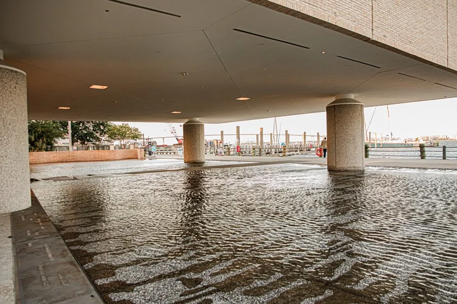 IAAM Charleston SC AAAM Reception Megapixels Media Photography-19.jpg
