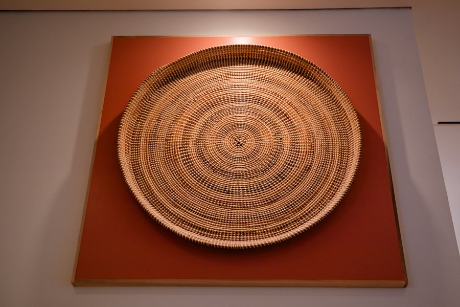 IAAM Charleston SC AAAM Reception Megapixels Media Photography-32.jpg