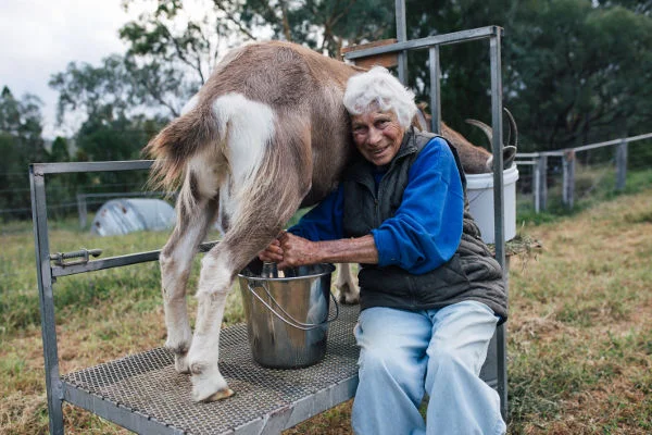 Our neighbour, Margaret & her goat Ettie provides the milk we use in our Goat's Milk Soaps.
