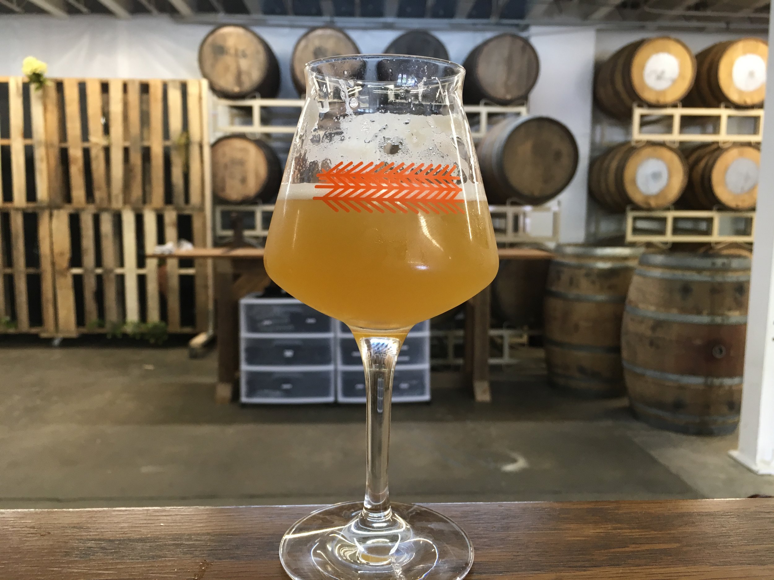 July Bottle Release - Genetic Drift, Bio-Mimicry, Common Descent