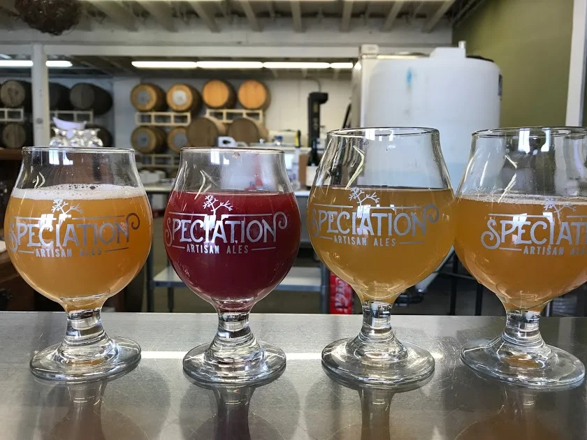 Punctuated Equilibrium v.1