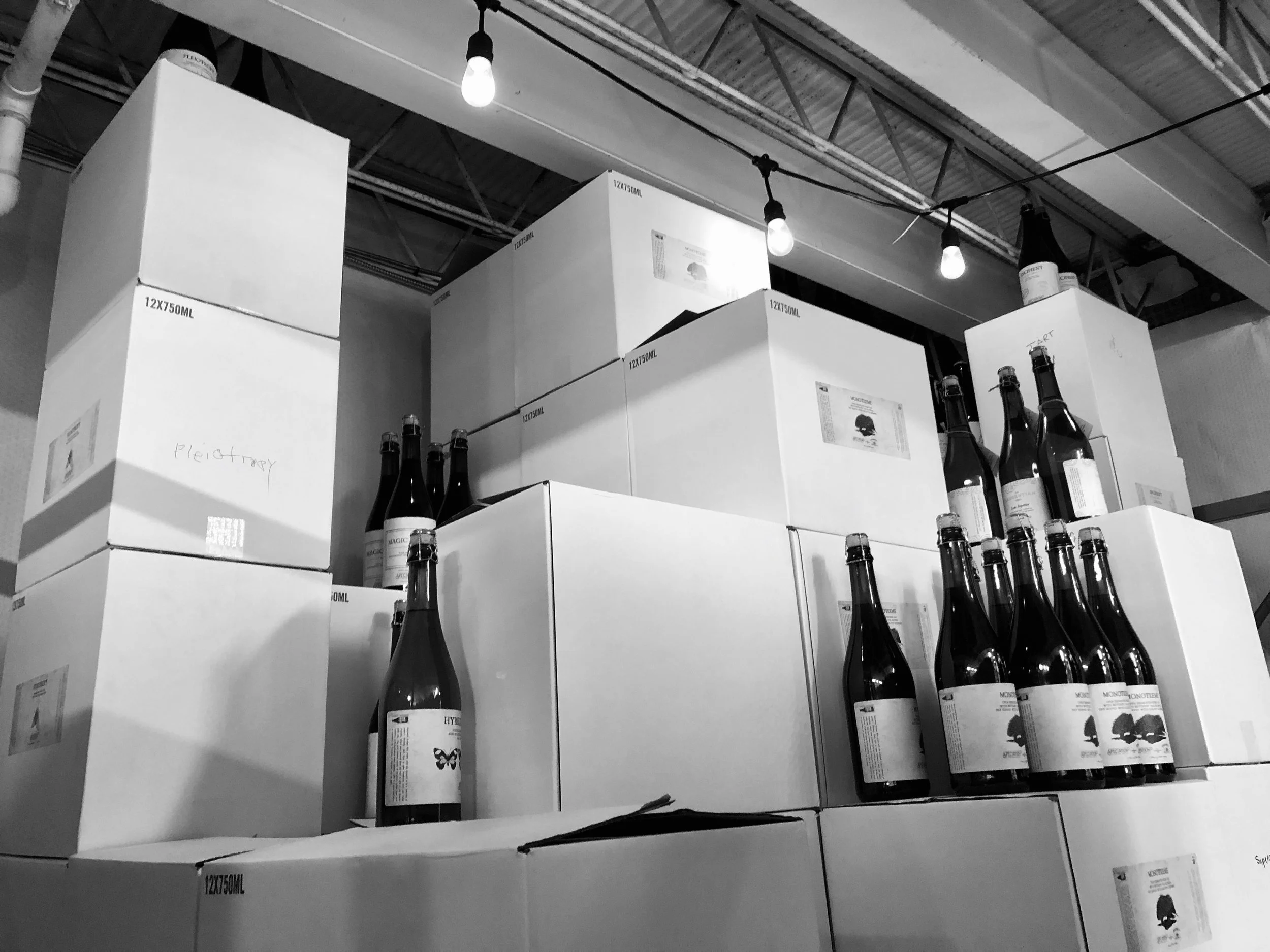 January CELLAR RAID - 1/12/18