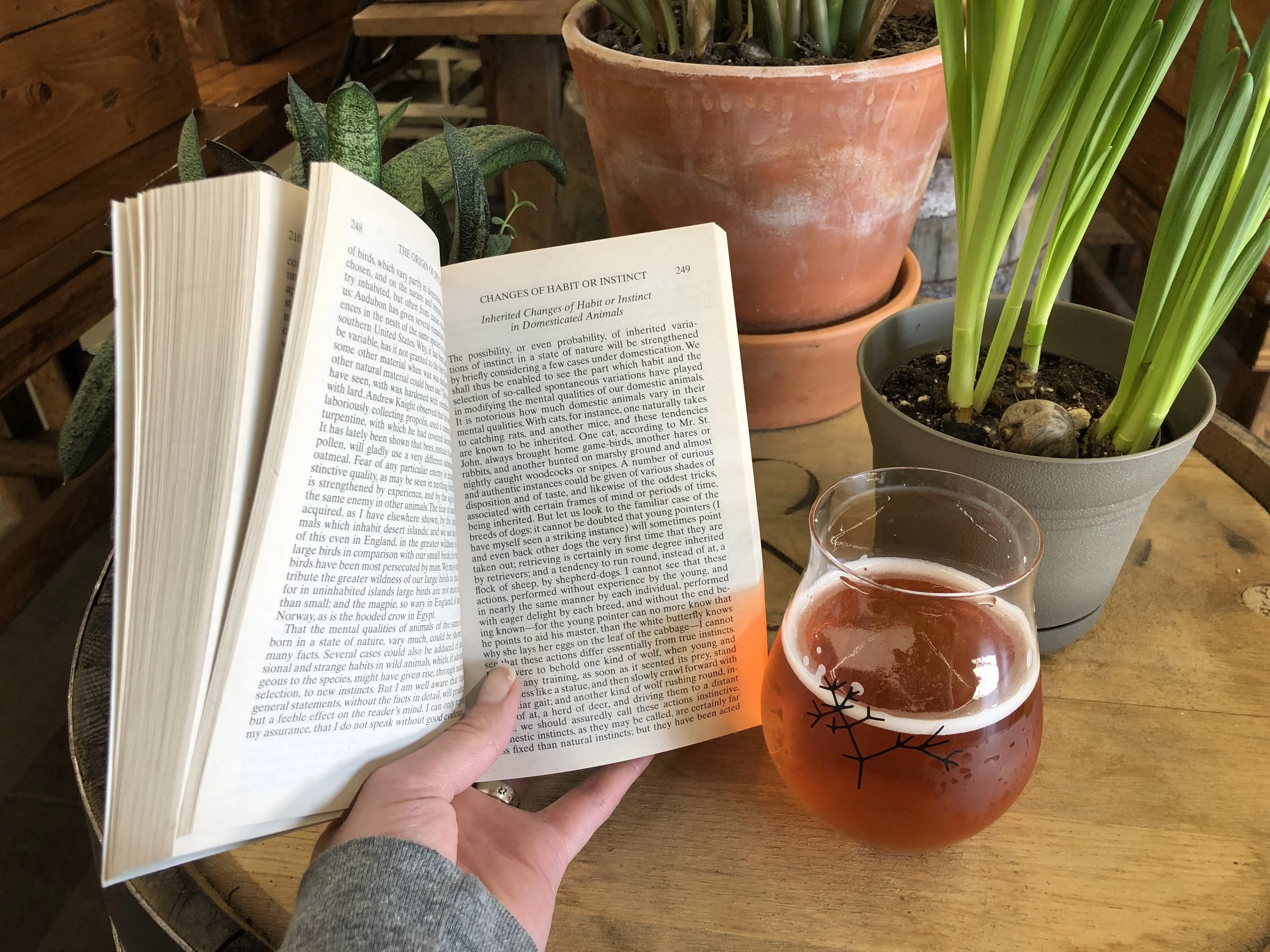 Introverts Night Out!