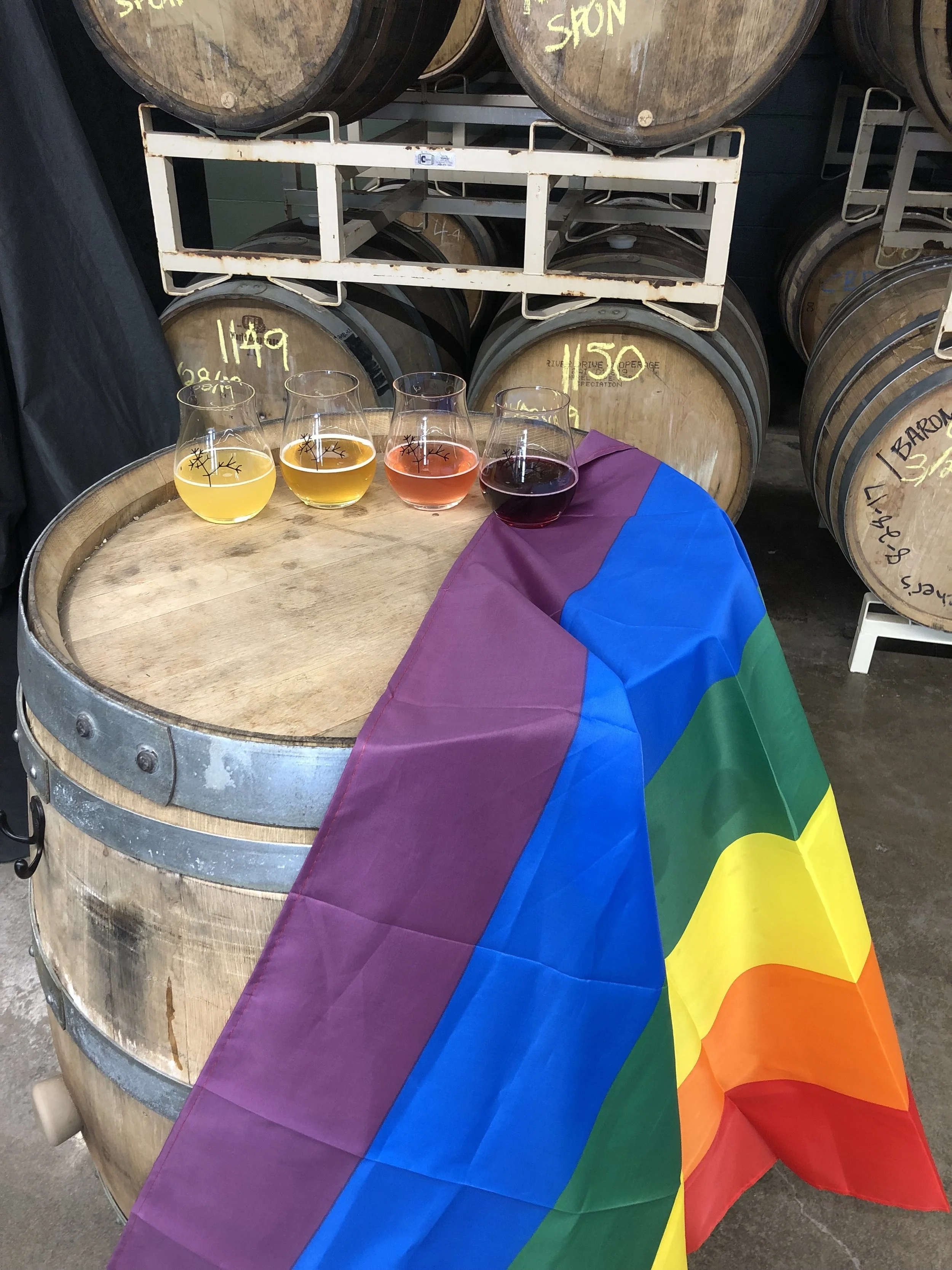 PRIDE Weekend Rainbow Flights! 