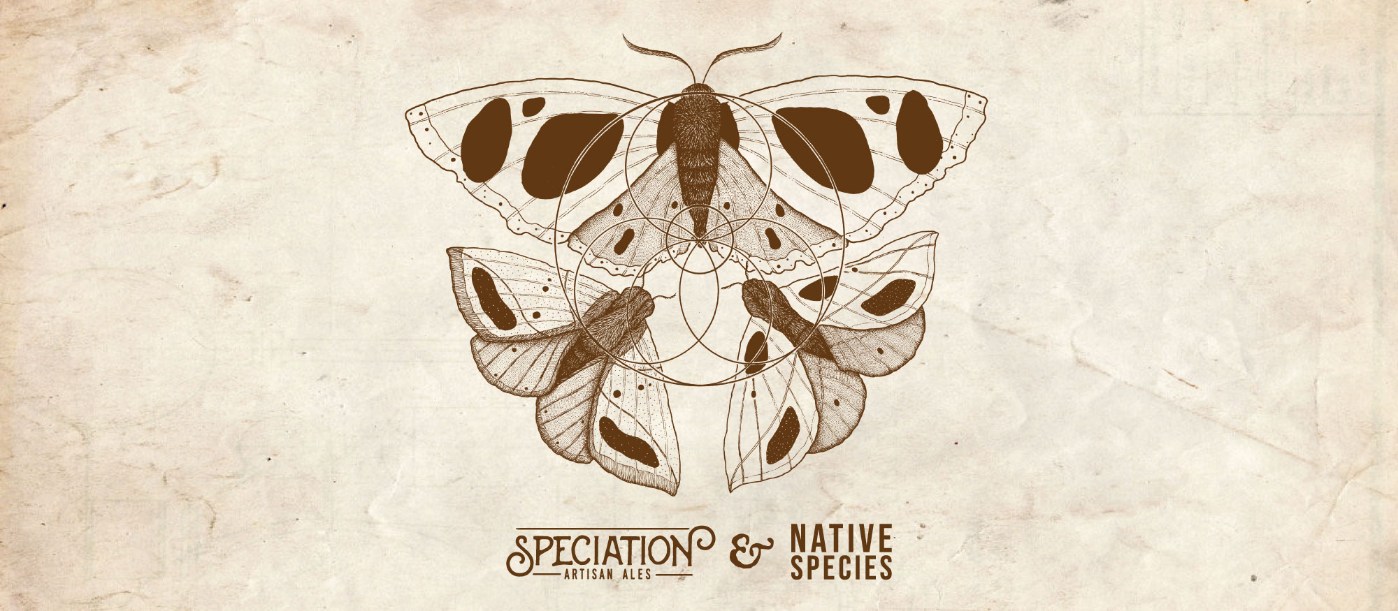 October Bottle Release! 