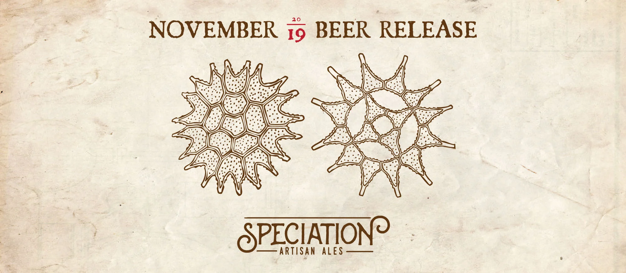 November Bottle Release!