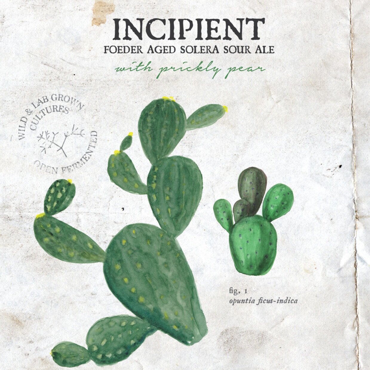 Incipient-Prickly-Pear.jpg