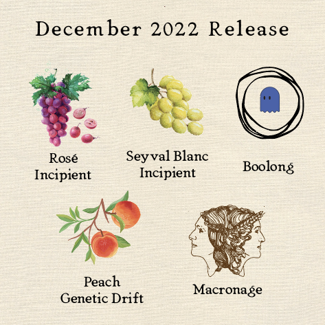 December 2022 Can Release