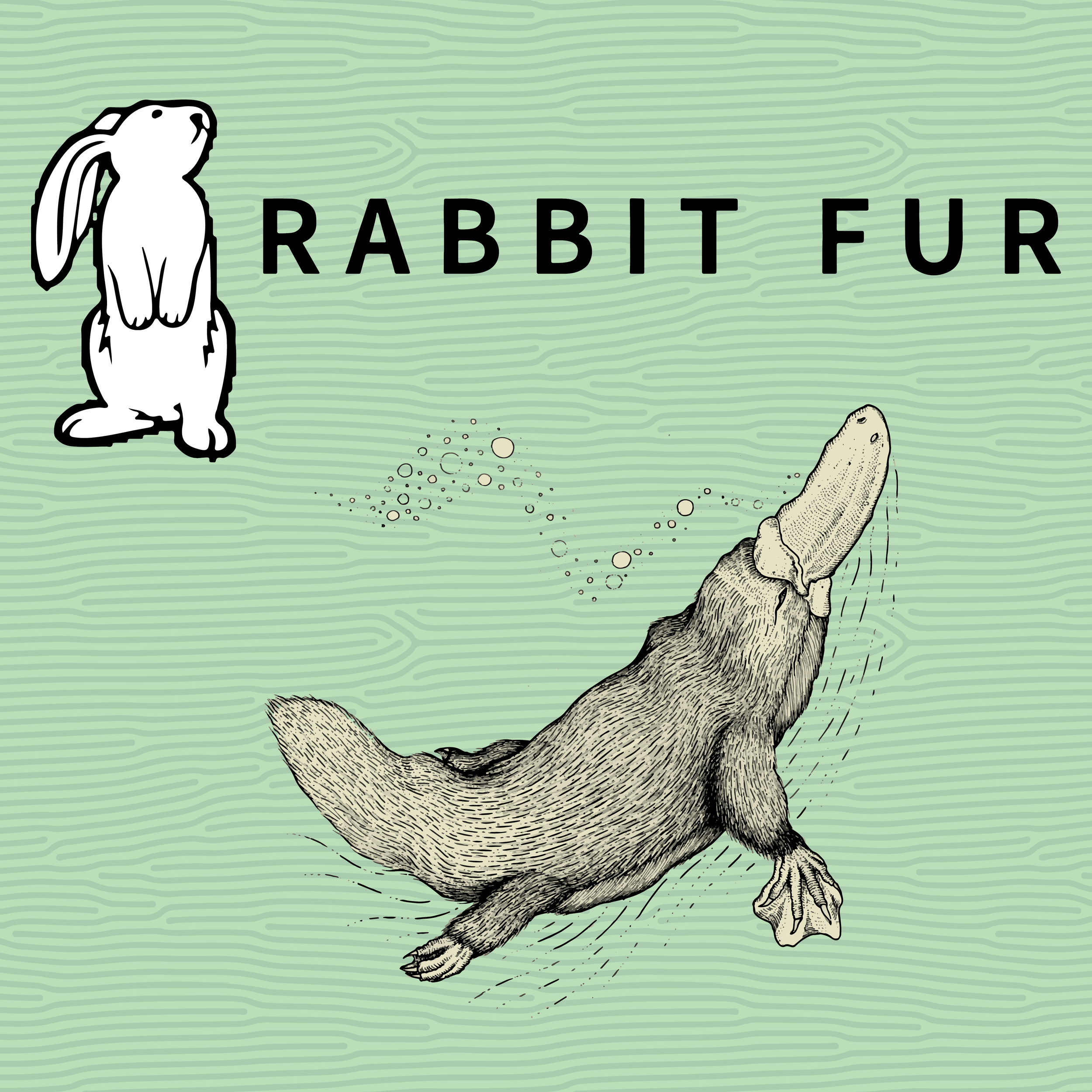 Free Show: Rabbit Fur
