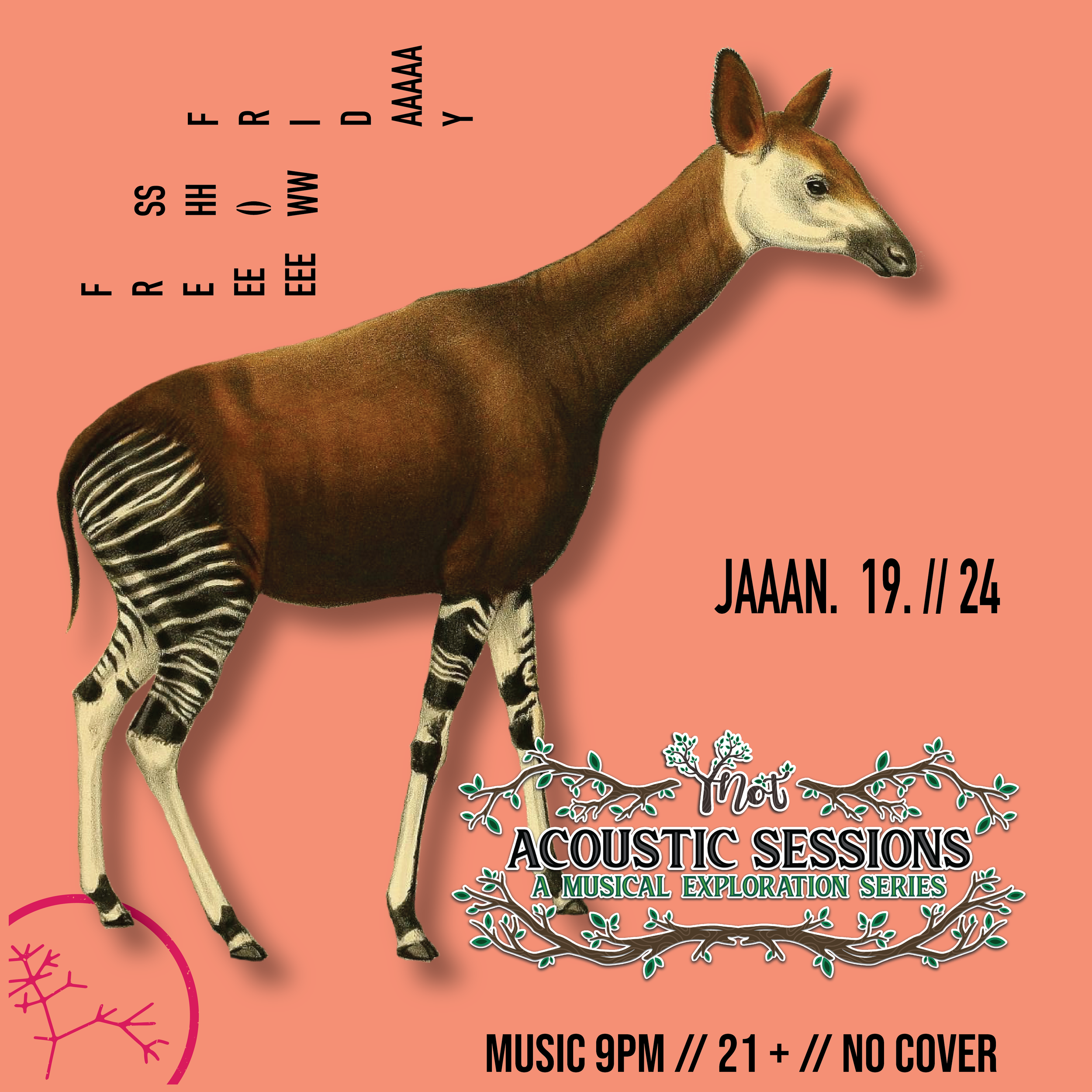Free Show Friday: Y-Not (Acoustic Sessions)