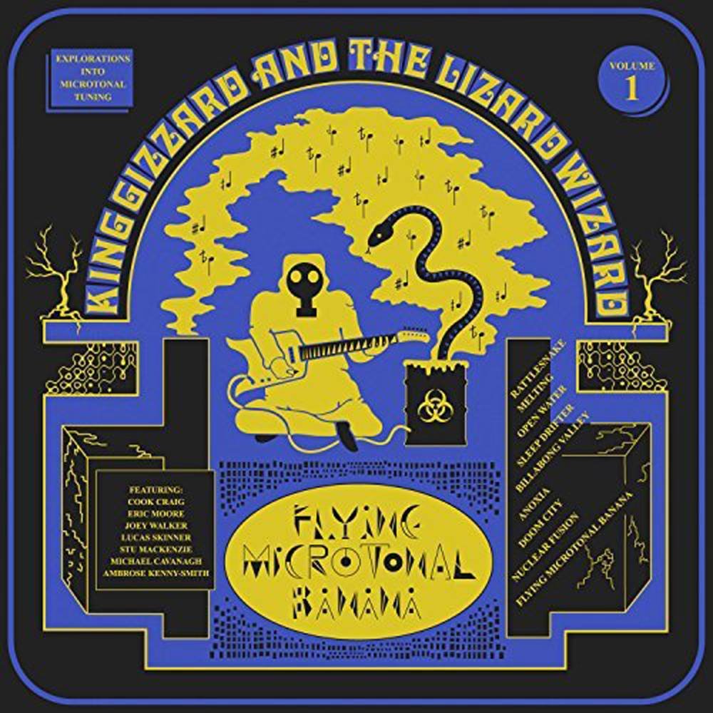 King Gizzard Vinyl Night