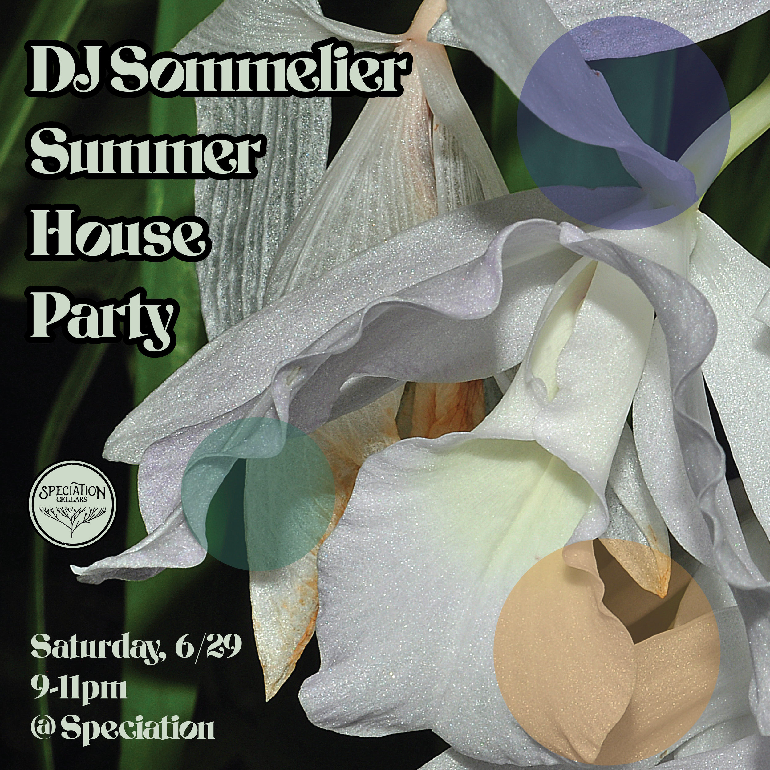 DJ Sommelier (Electronic/House)