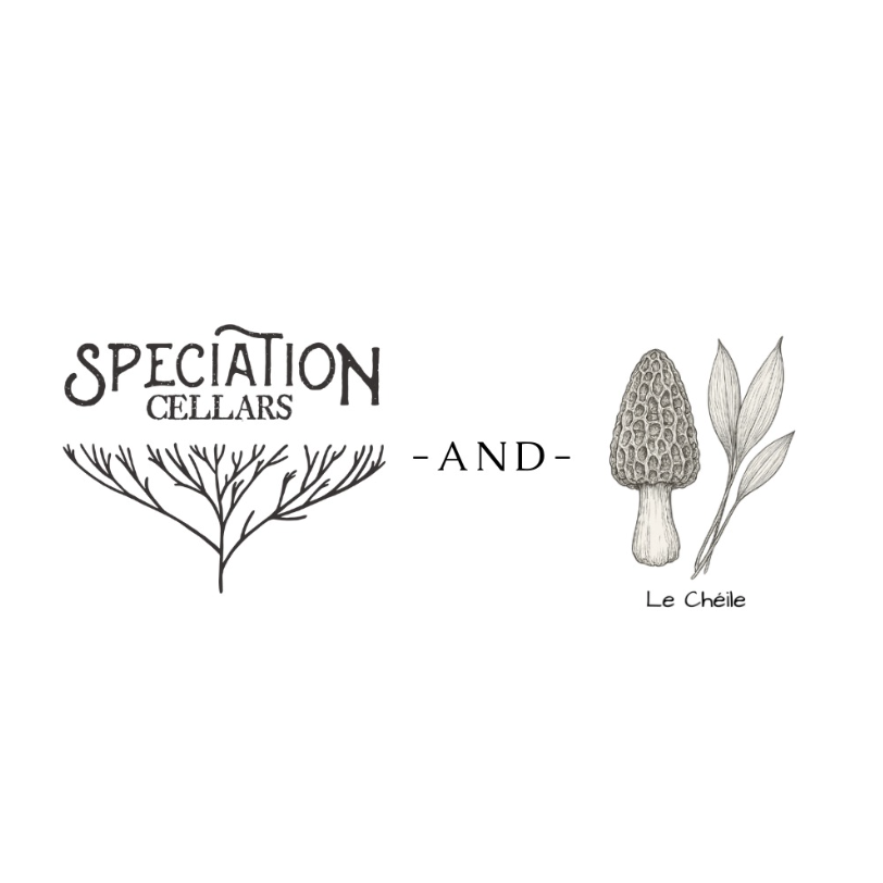 Michigan Beer Dinner with Le Cheile