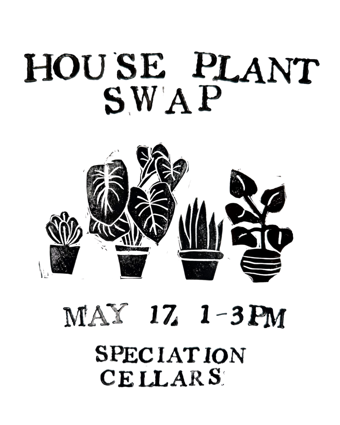 House Plant Swap 2.0