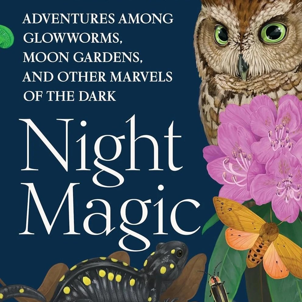 Speciation Book Club: Night Magic by Leigh Ann Henion