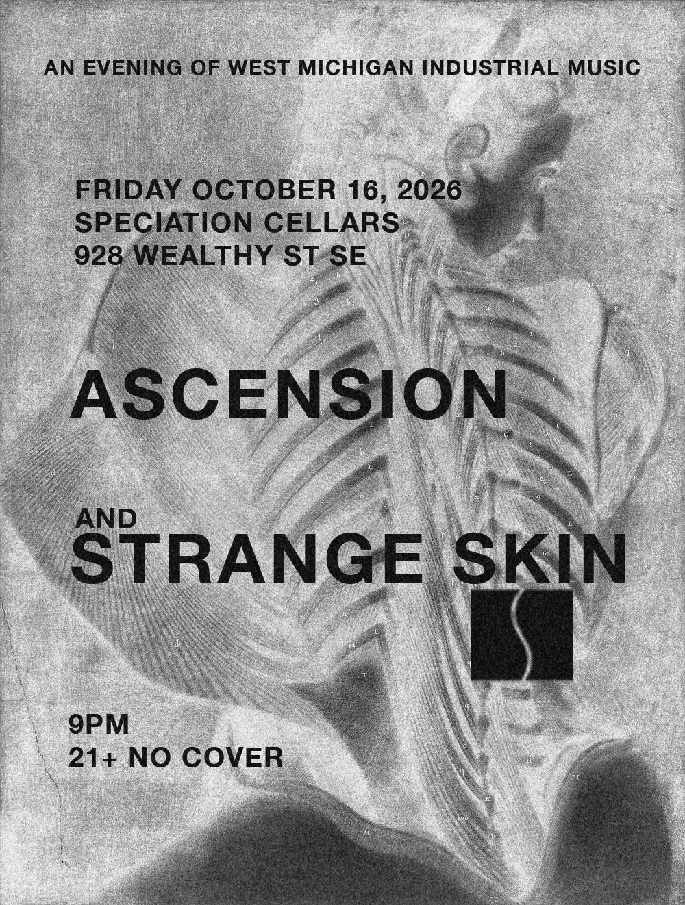 Free Show Friday: Ascension &amp; Strange Skin (Industrial/Post-Punk)