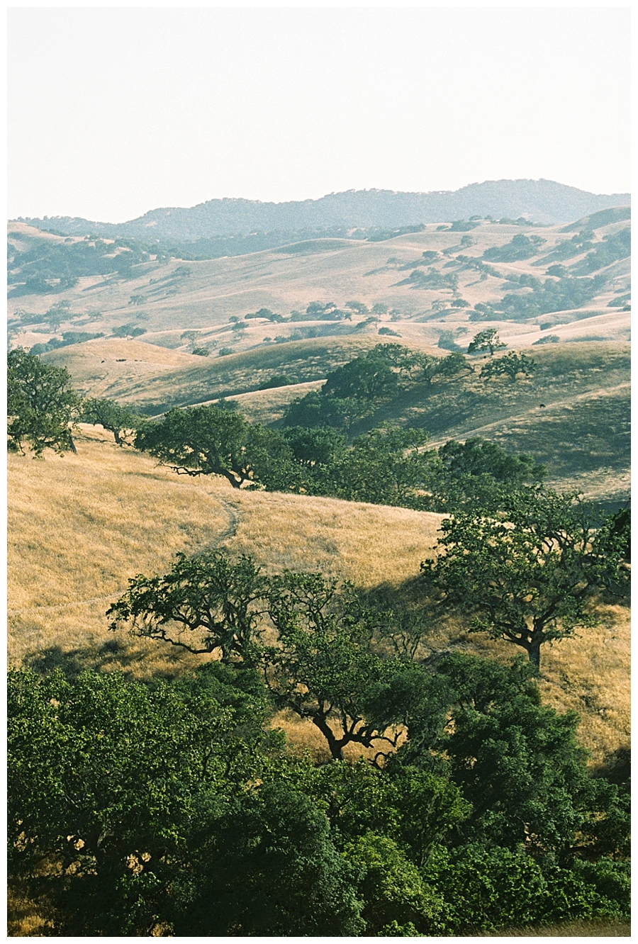 fine art travel film photography of Santa Ynez Wine Country