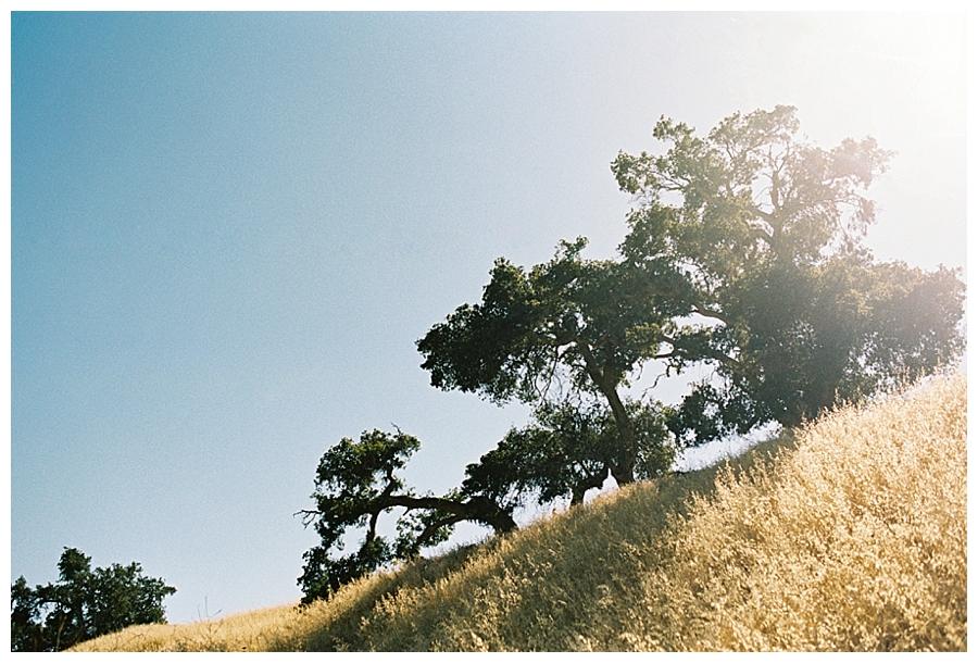 fine art travel film photography of Santa Ynez Valley