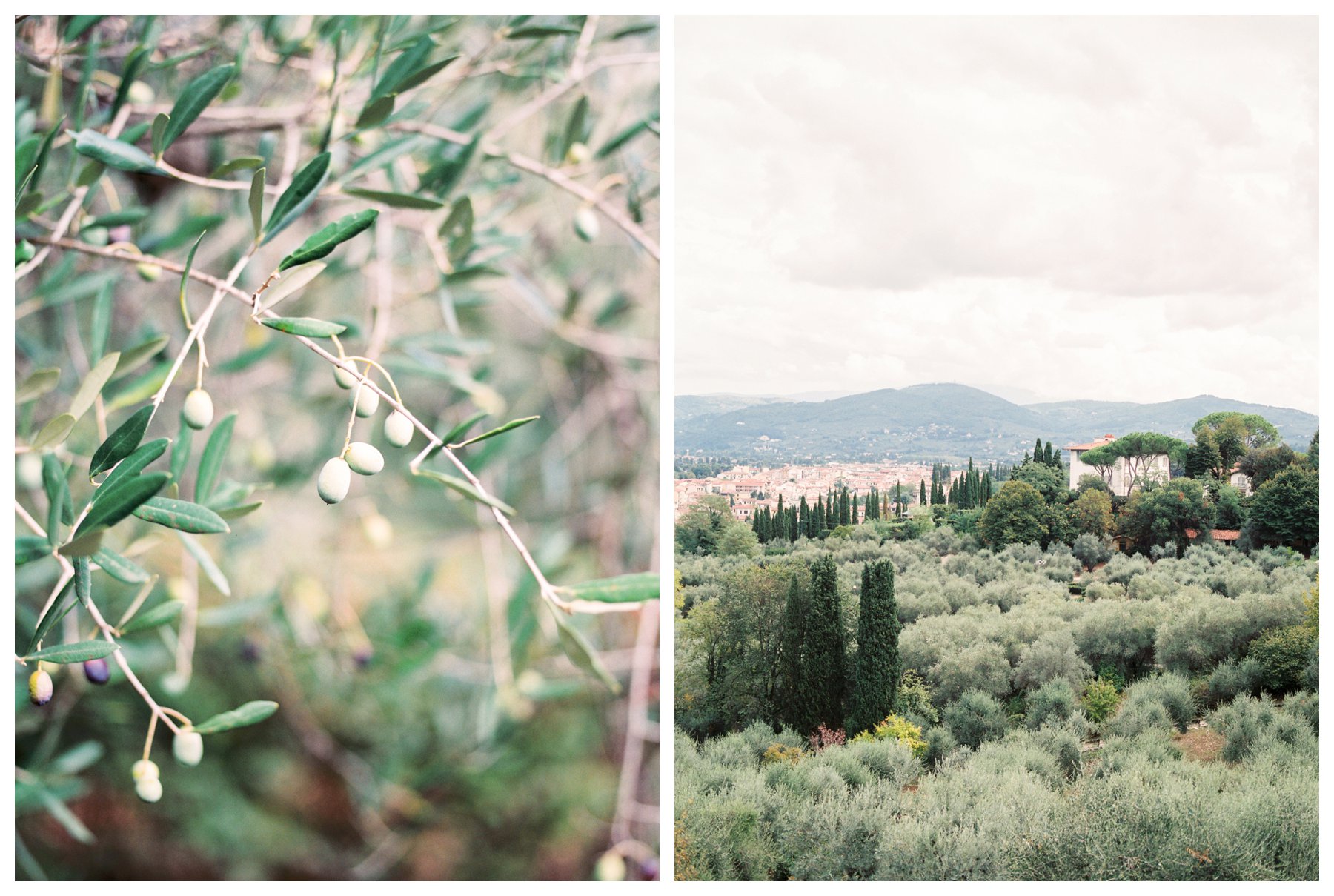 fine art travel photography of Florence from the Spanish Steps