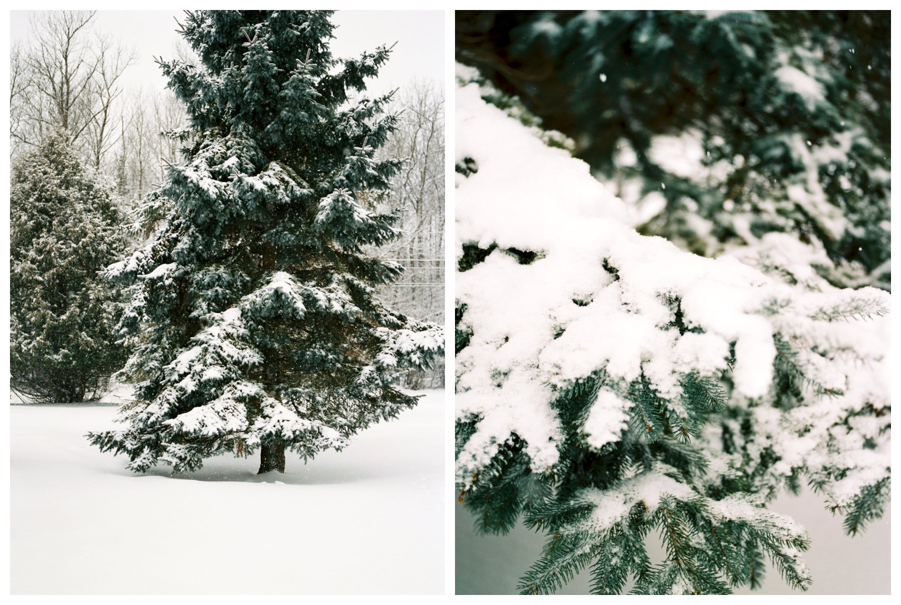 fine art travel photography in Minnesota