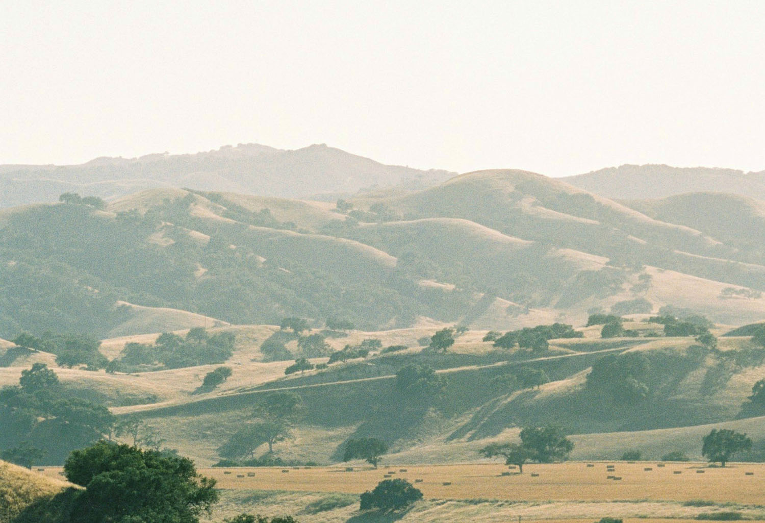 5. California