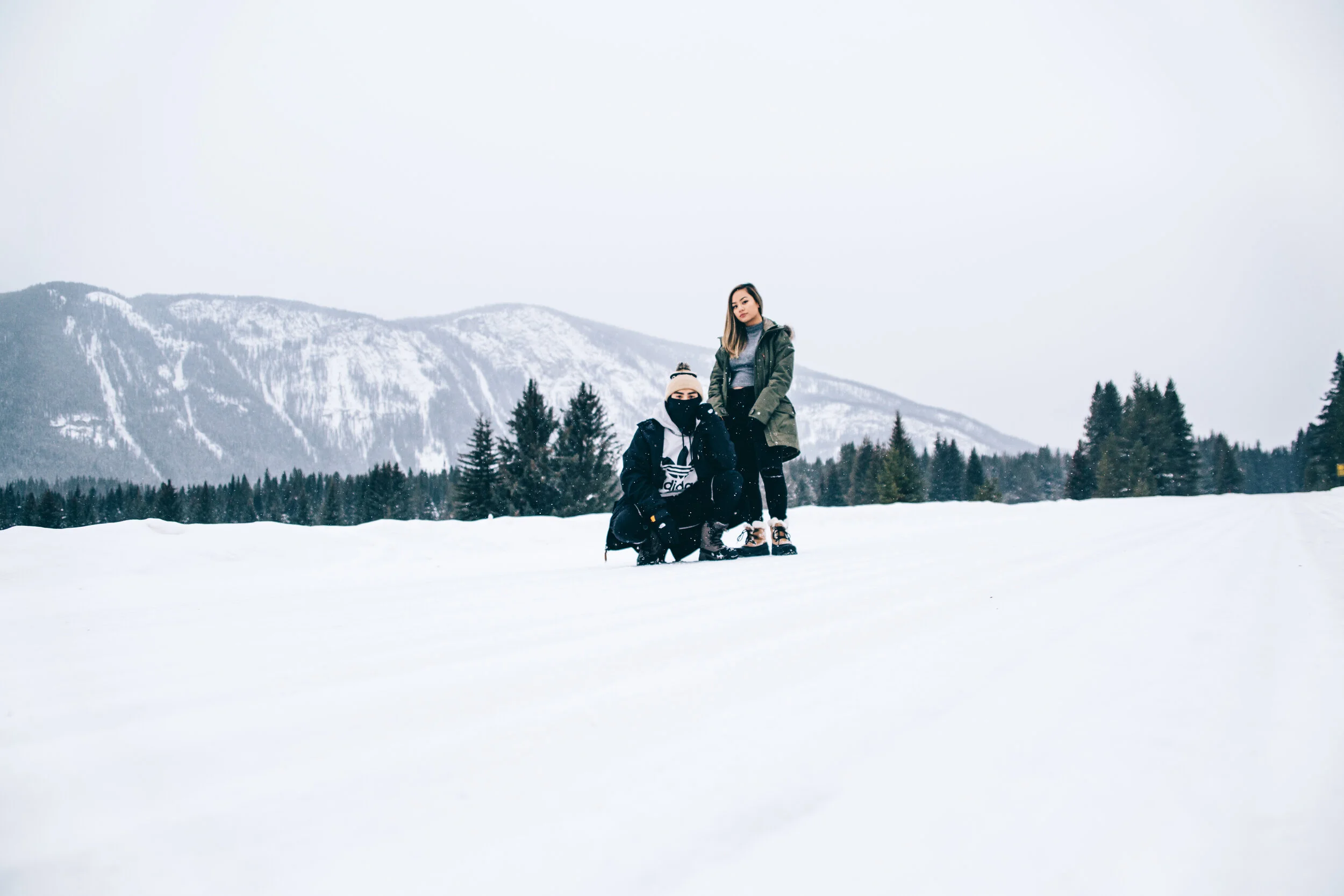 let it snow_16x24_v2.JPG