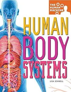 human body systems--2--for website.jpg