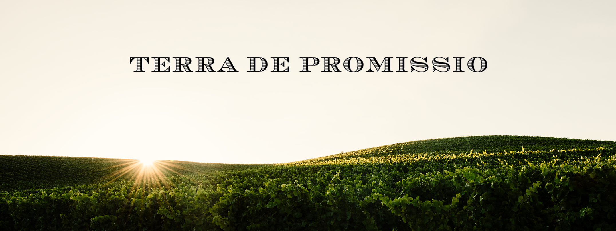 TERRA_HEADER.png