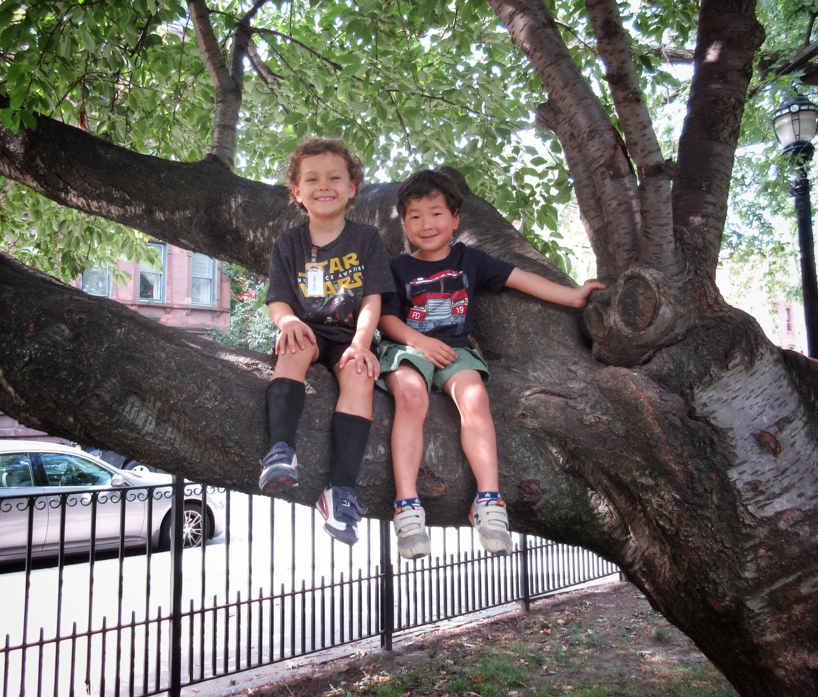 Happiest apples to ever perch in a cherry tree. These two buddies are already expert climbers!