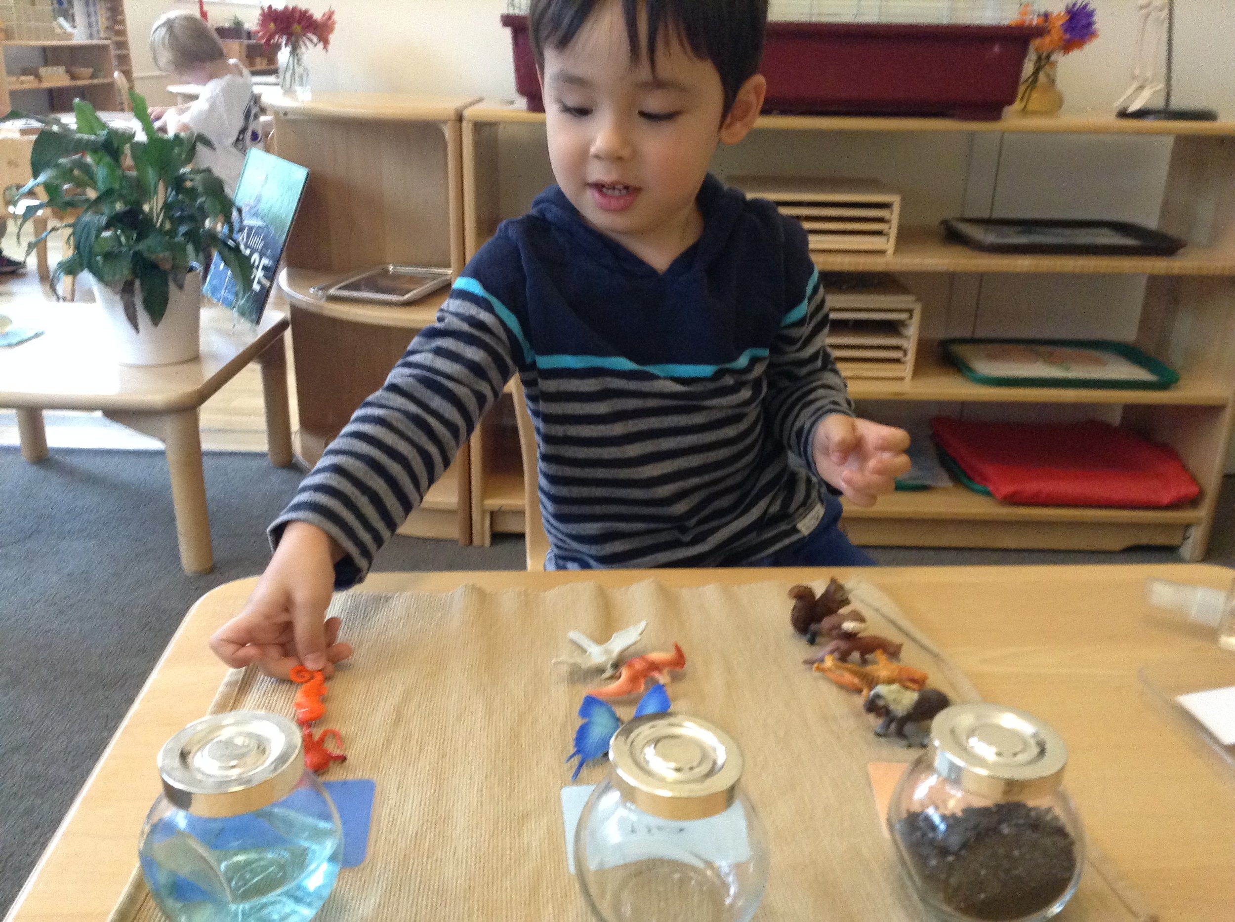 A child categories animals using the Land/Air/Water work.