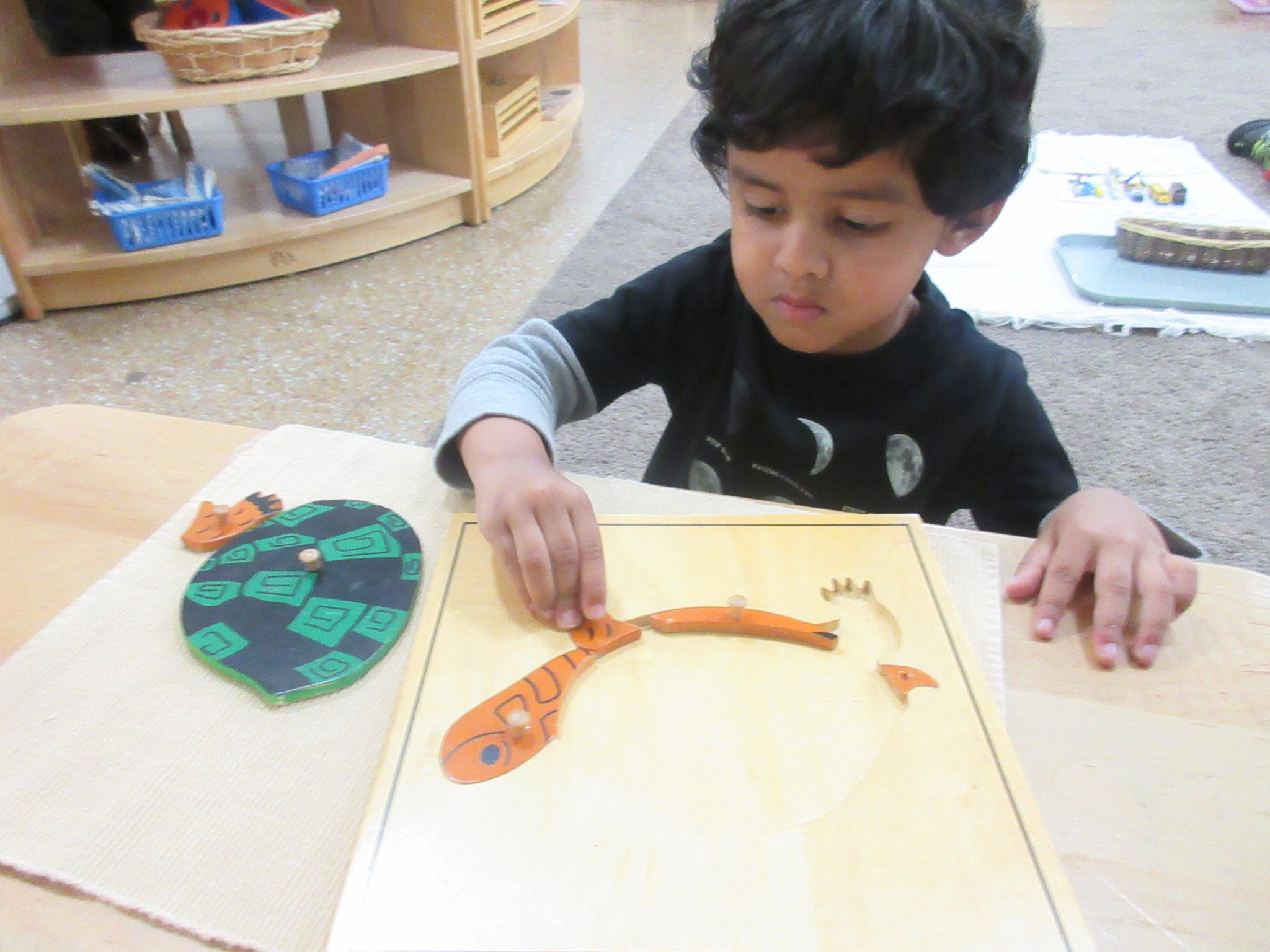 Piecing together a turtle 