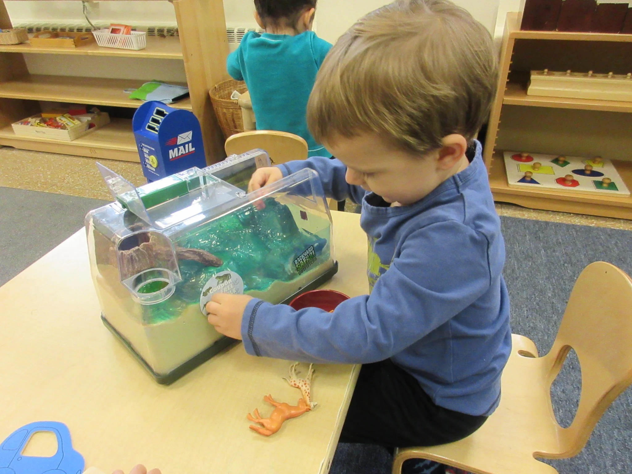 Learning about land and sea animals. Placing land animals on the land and placing animals that swim in the water 
