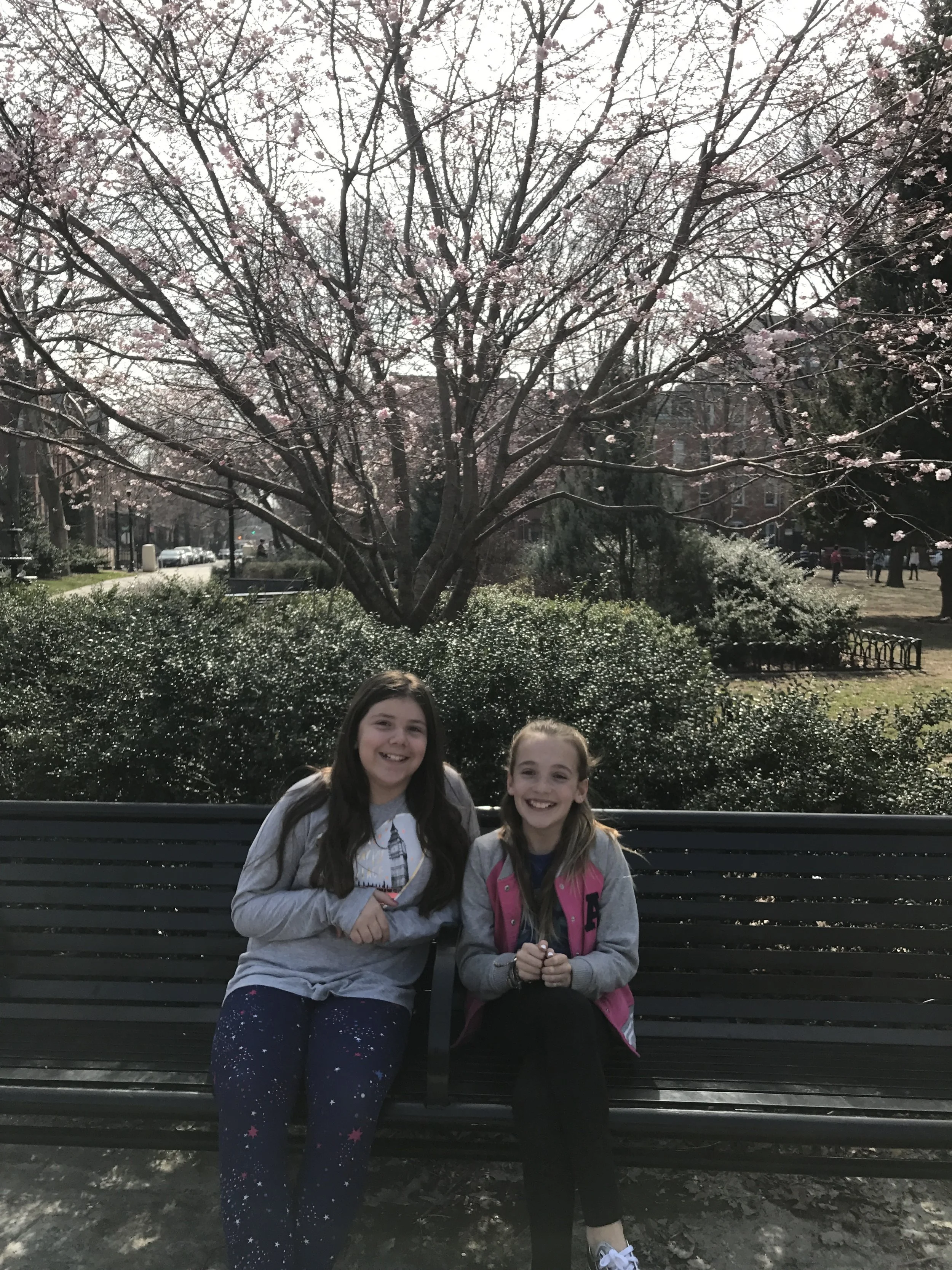 Orion Room friends enjoying the unusually warm weather