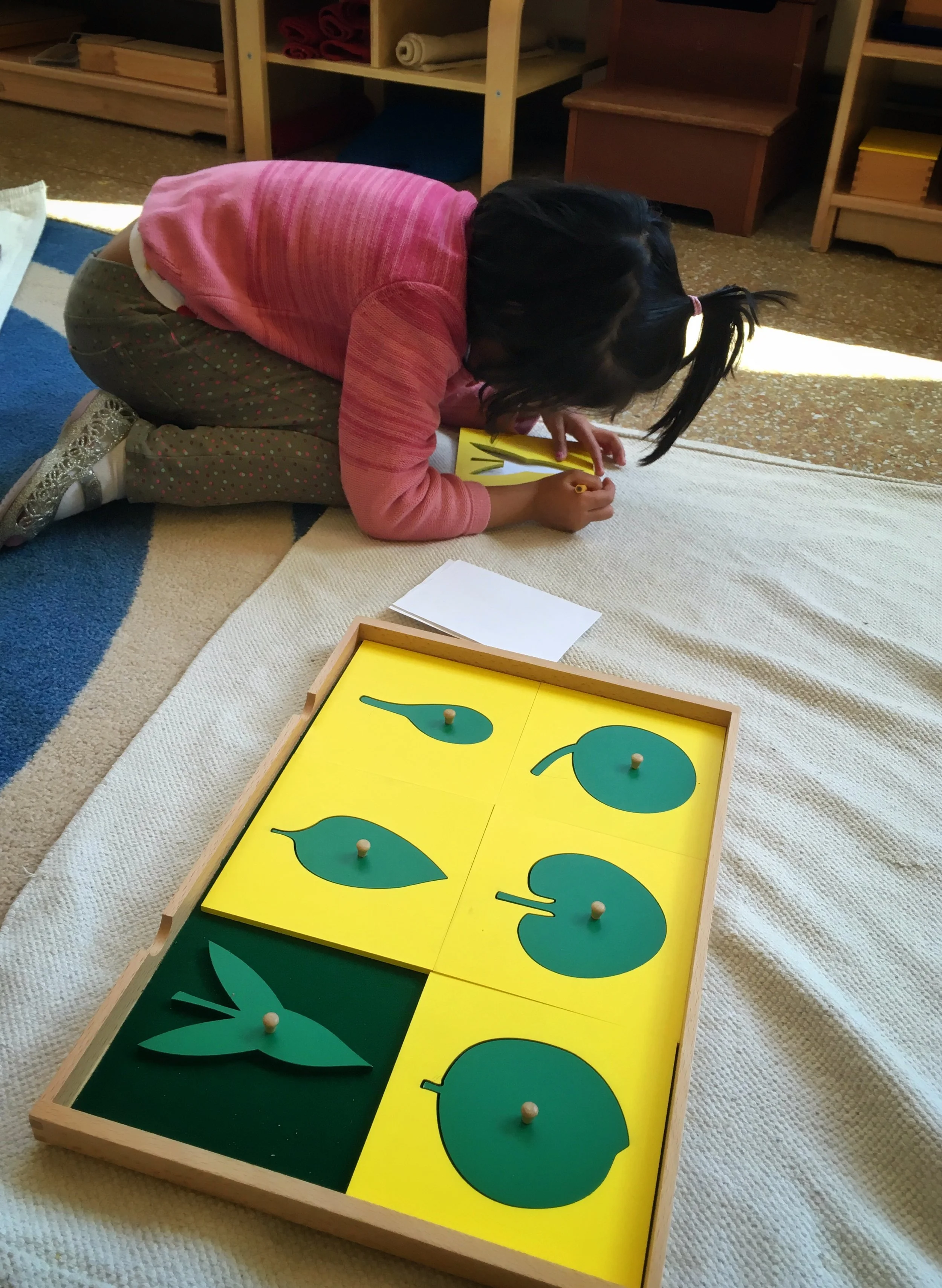 Making a Leaf Booklet