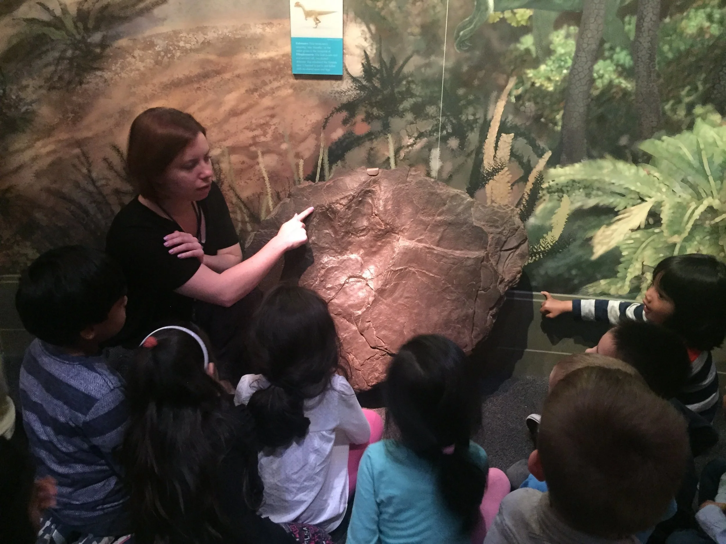 Learning about the real dinosaur fossil - Field Trip, Newark Museum!